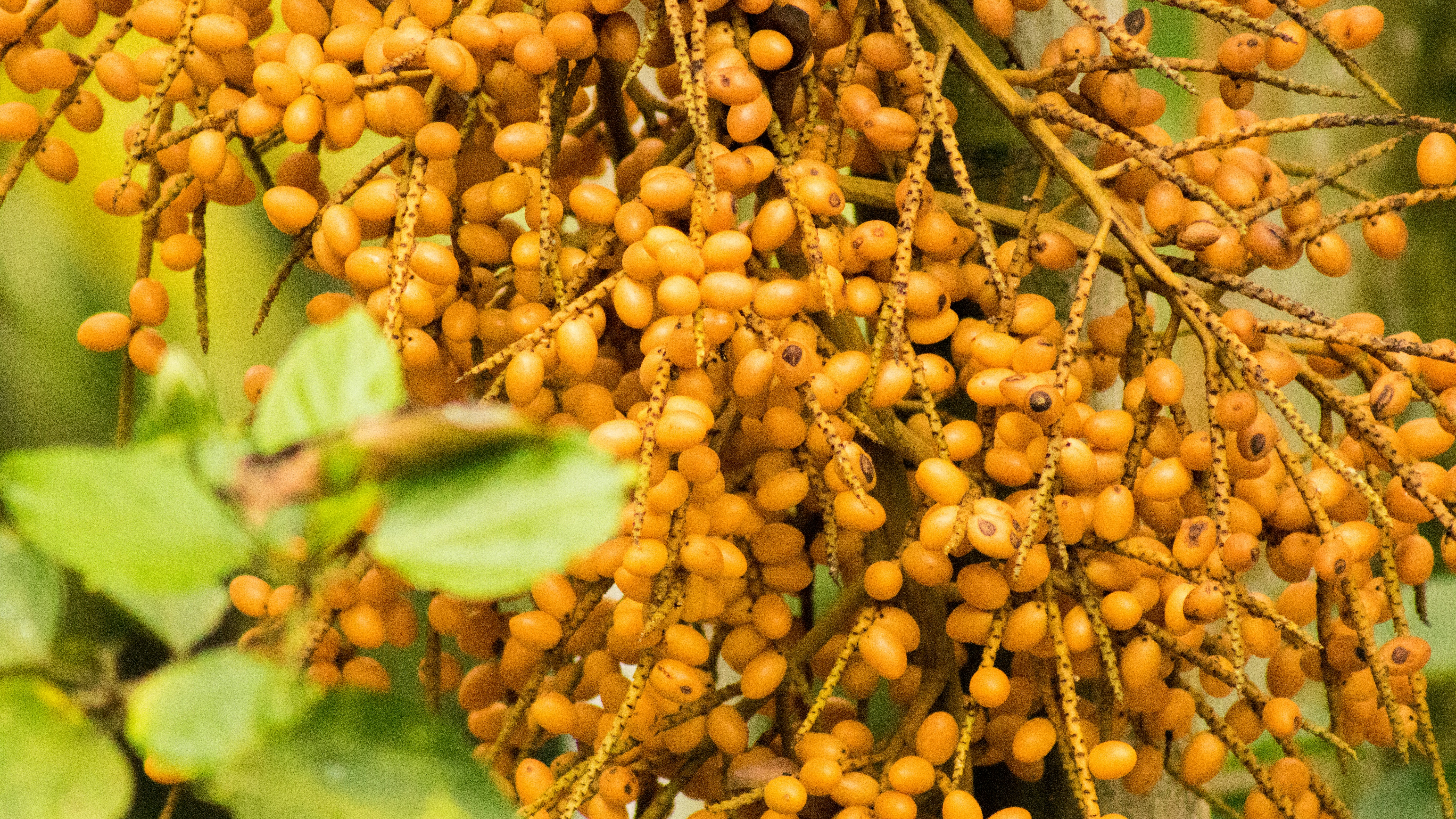 Photo by astroviajes30