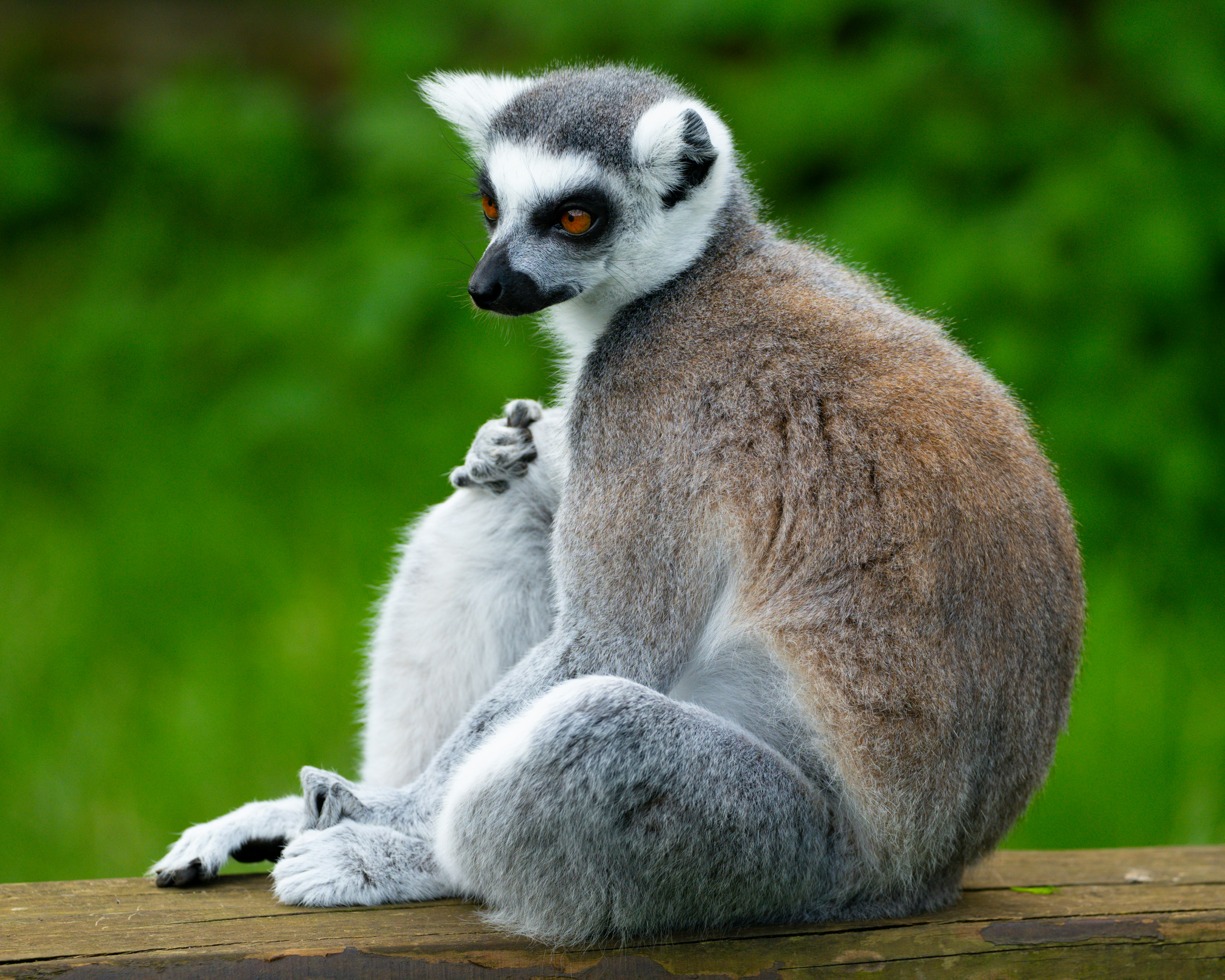 Photo by fatihsimsek