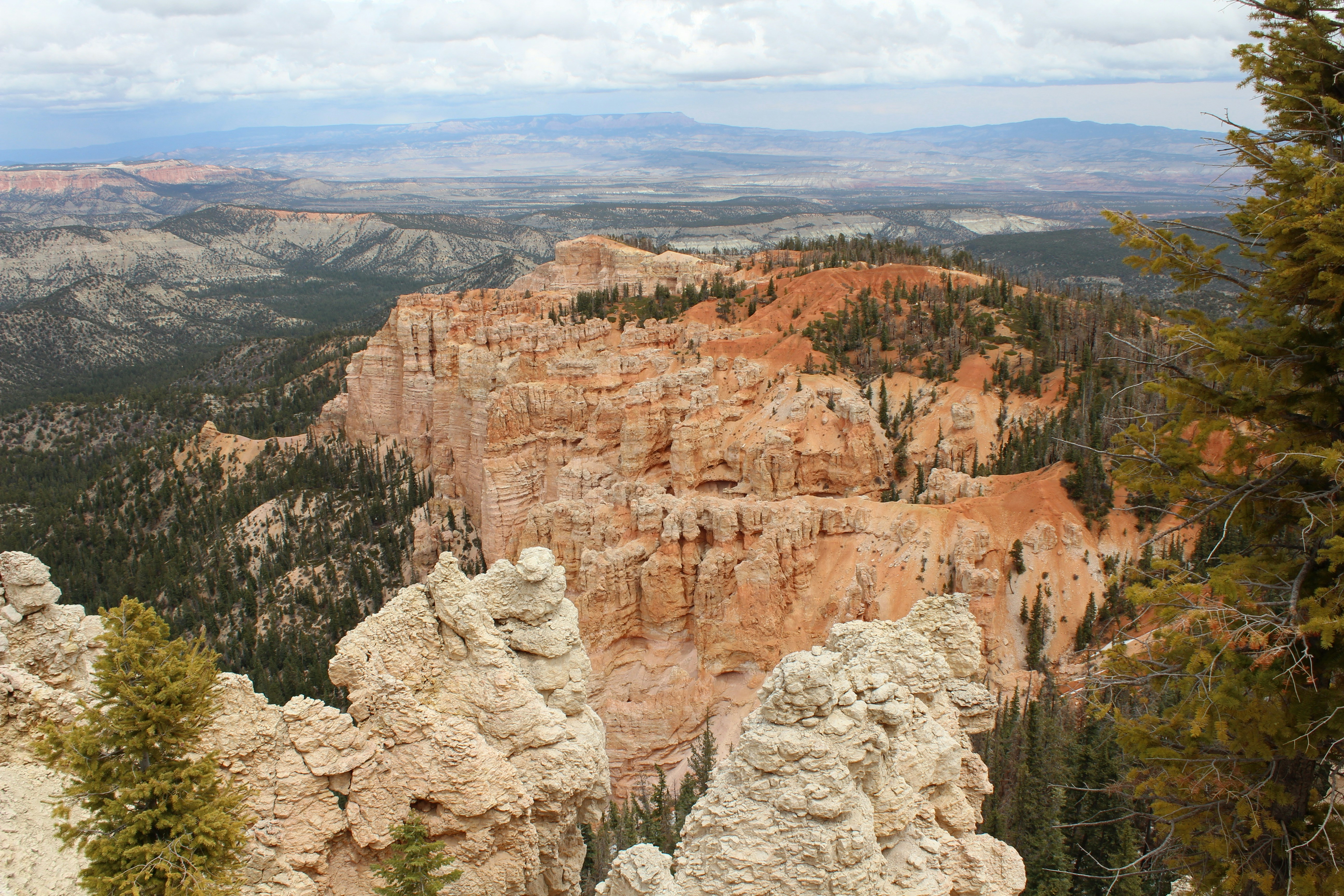 Photo by fickesphotos