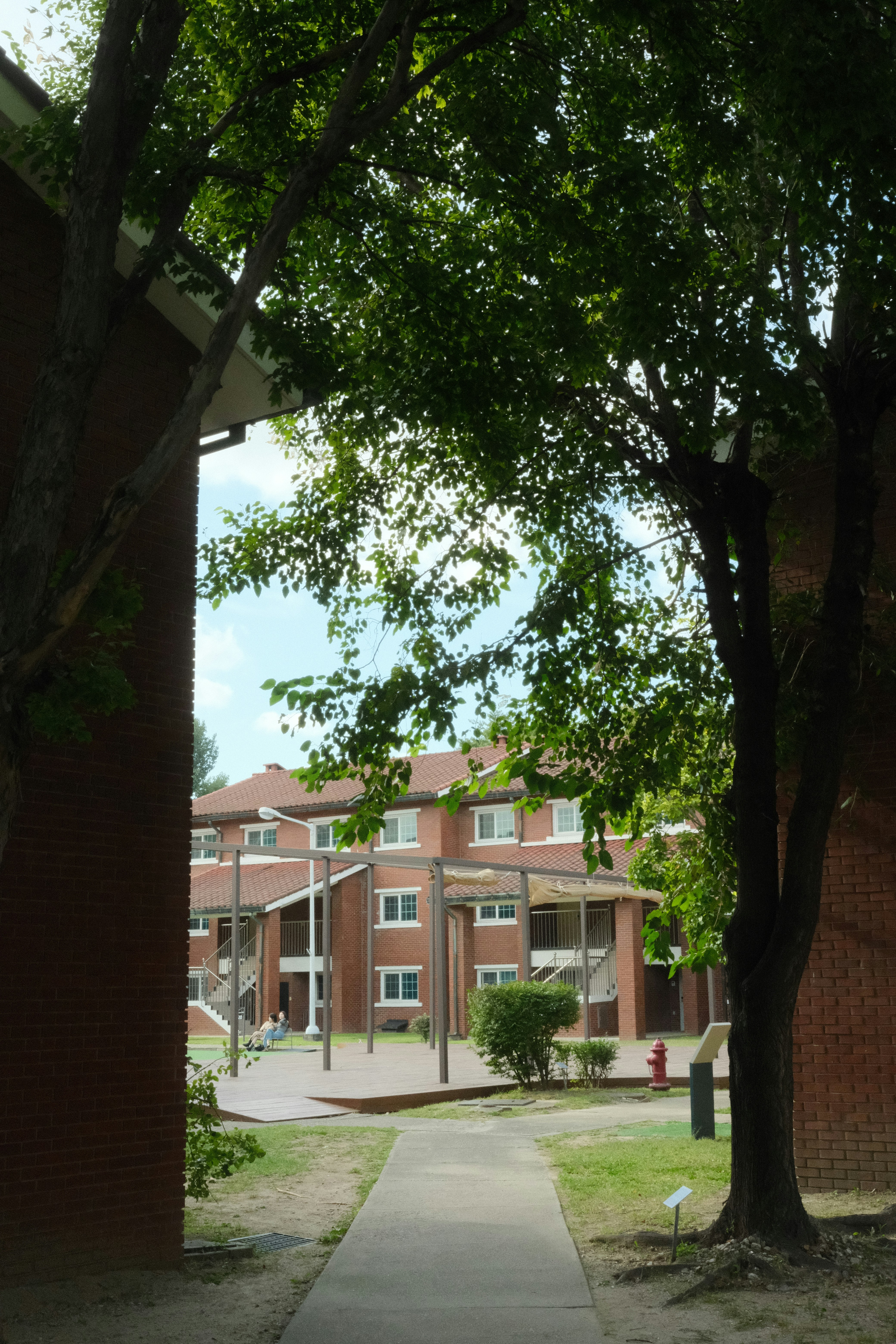 並木道を抜けた建物の眺め