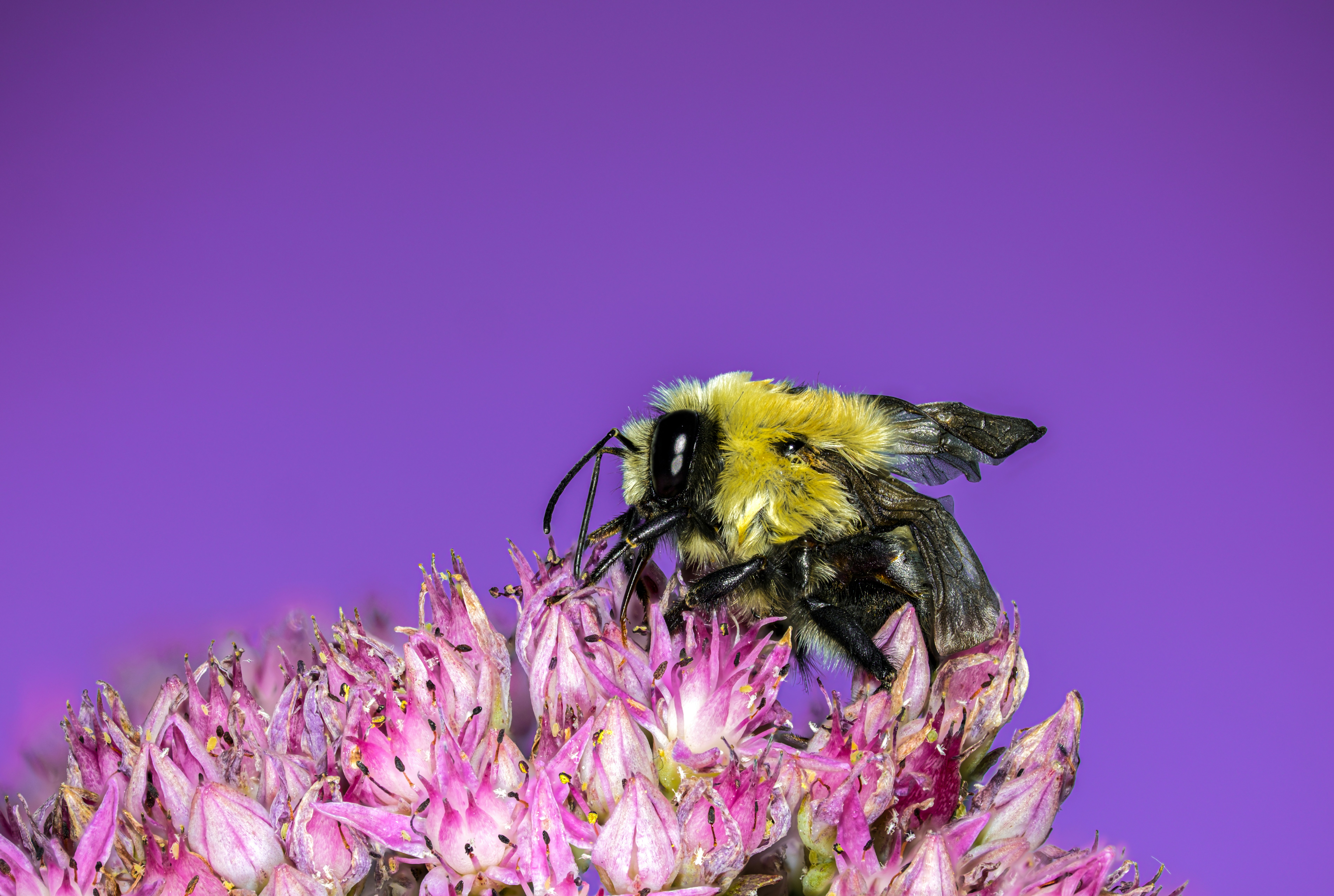 Photo by alexandredaoust