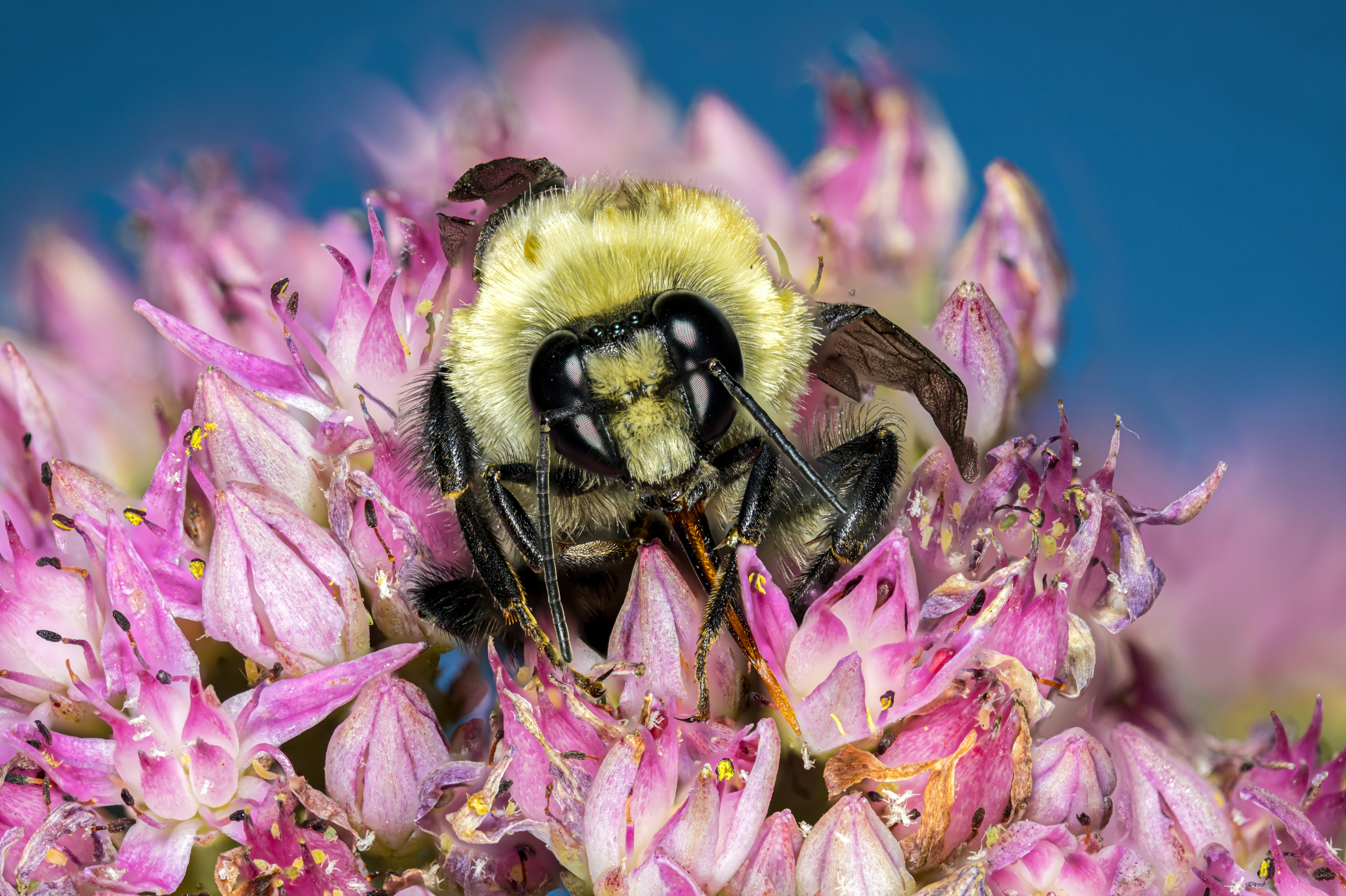 Photo by alexandredaoust