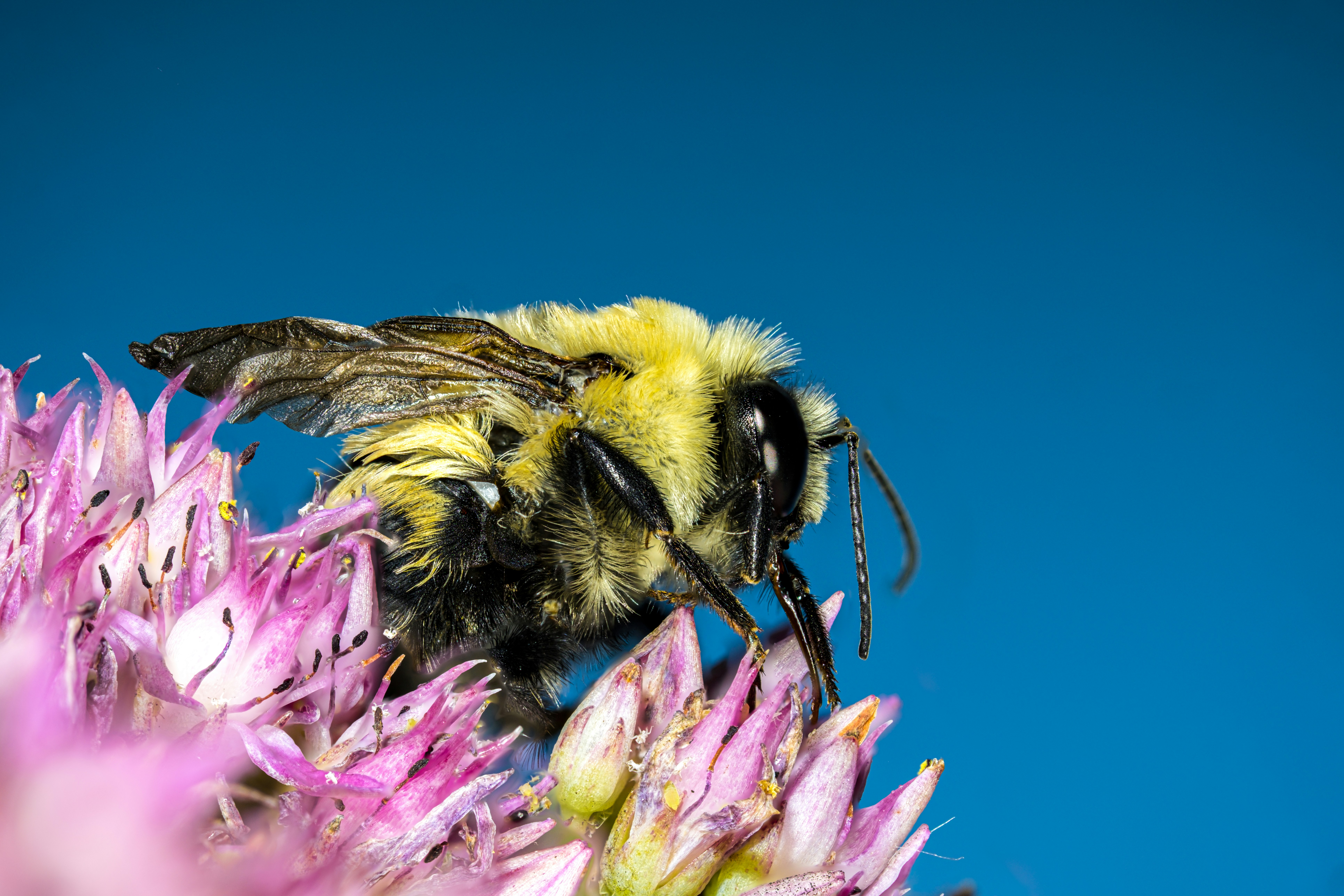 Photo by alexandredaoust