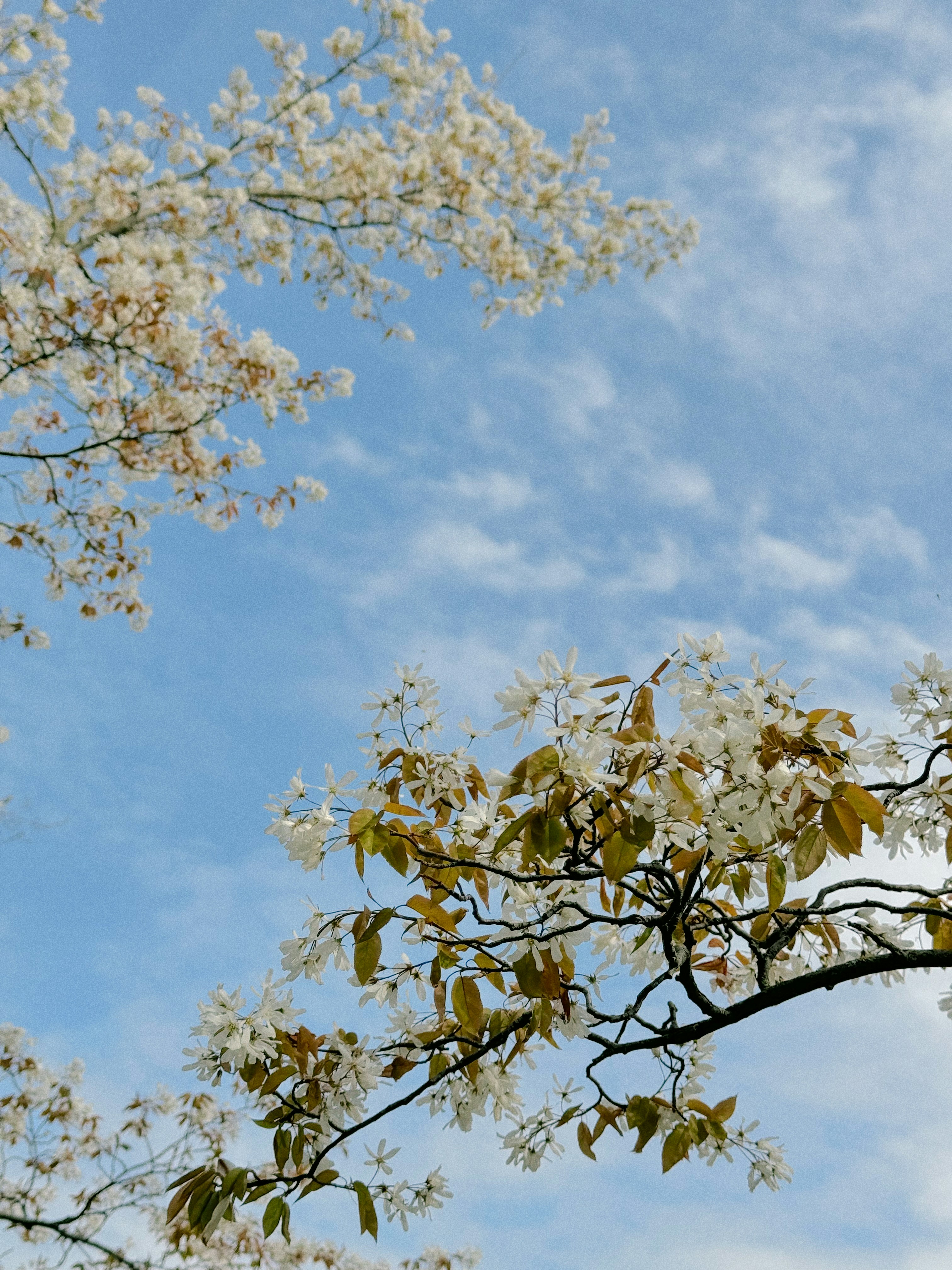 Photo by alexandra_a__