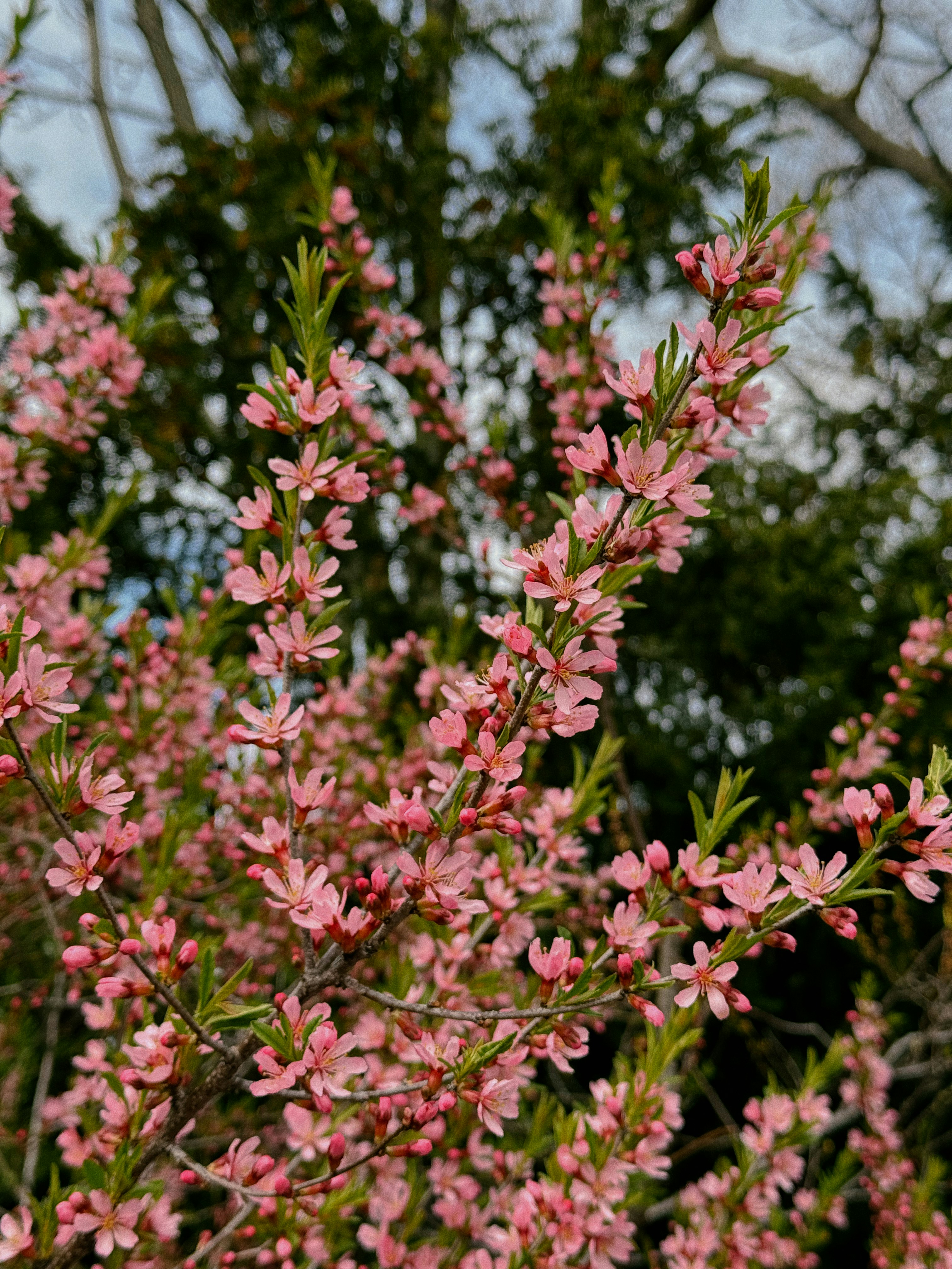 Photo by alexandra_a__