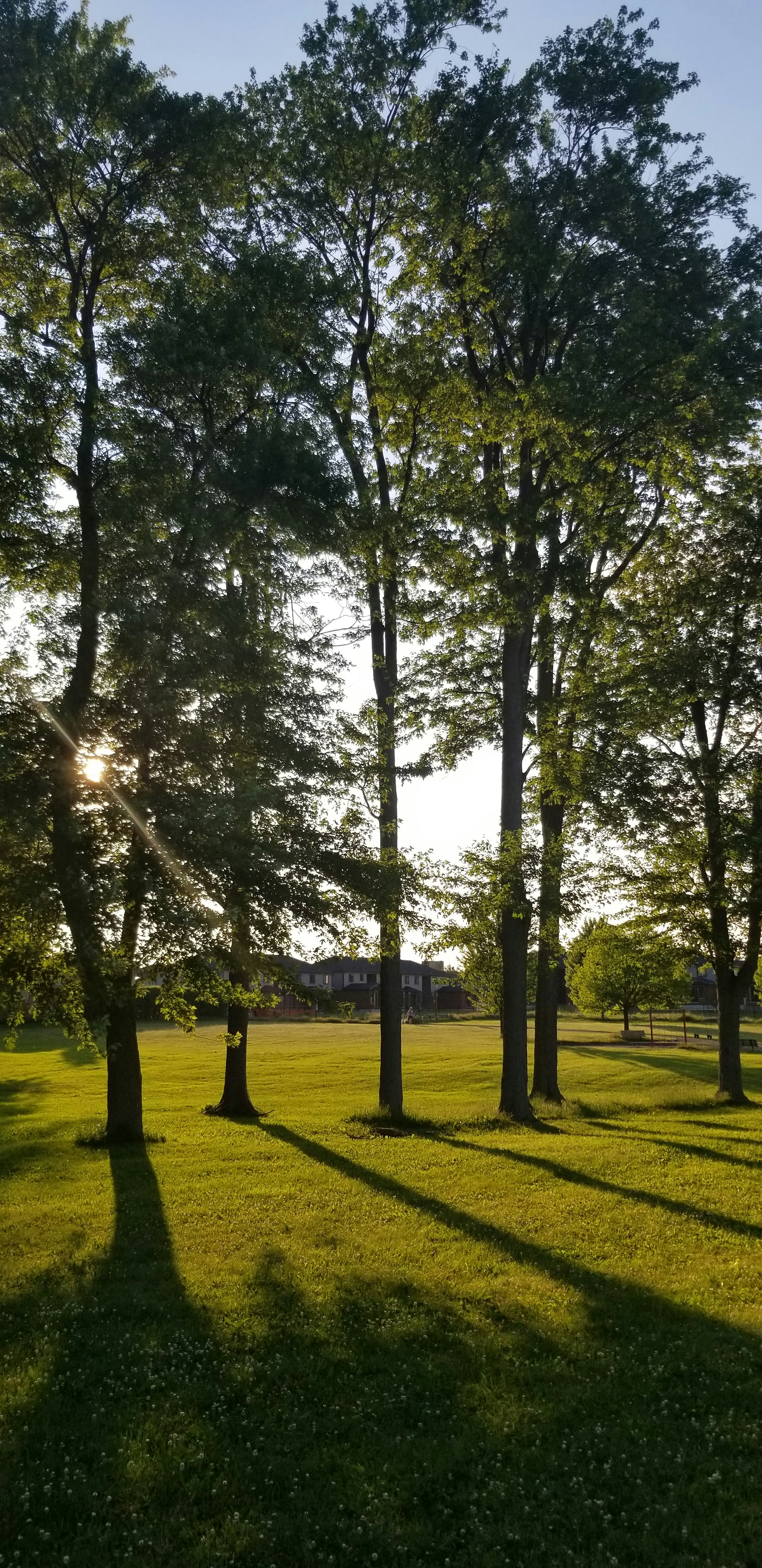 Photo by breno_lucas