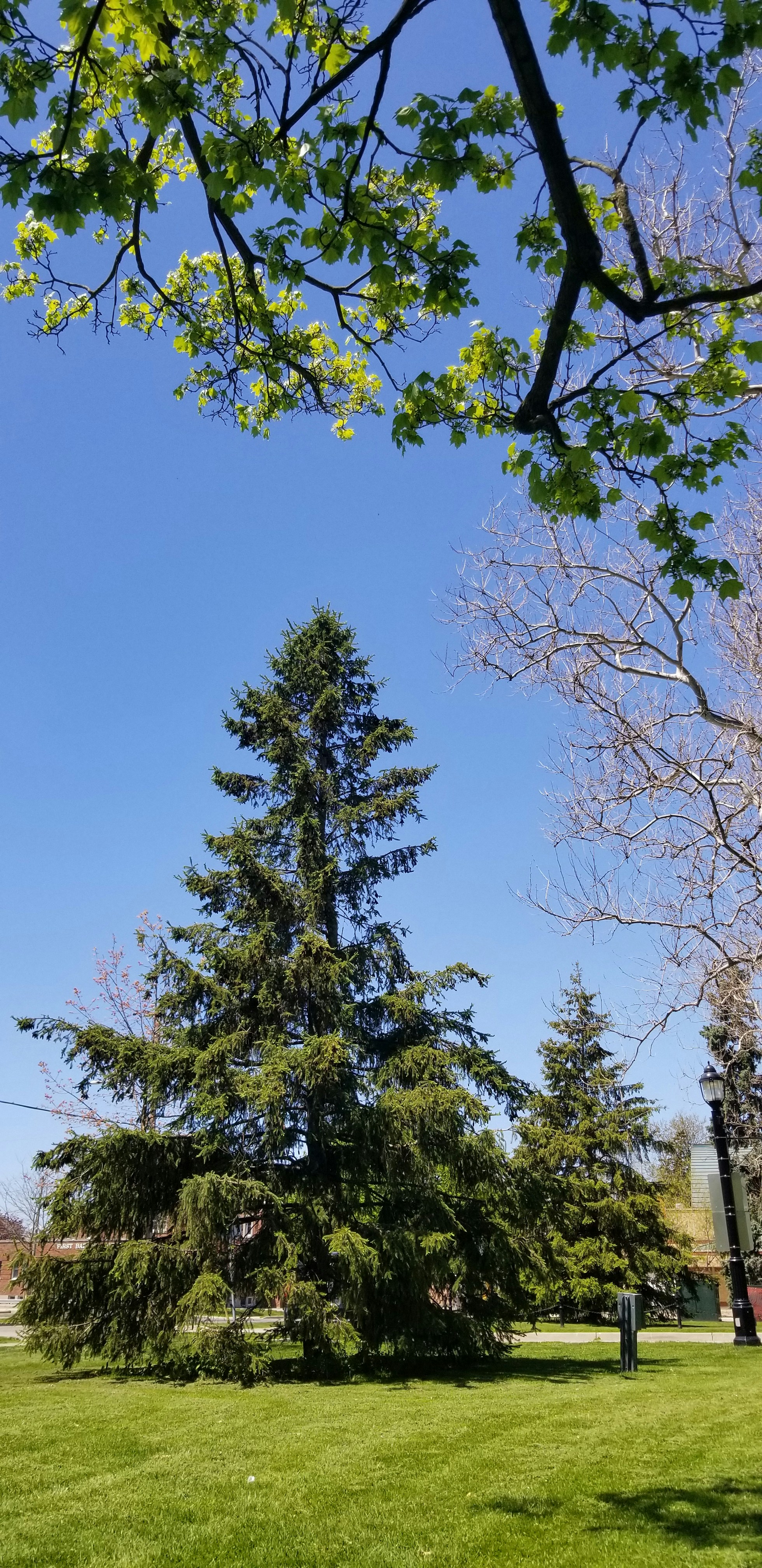 Photo by breno_lucas