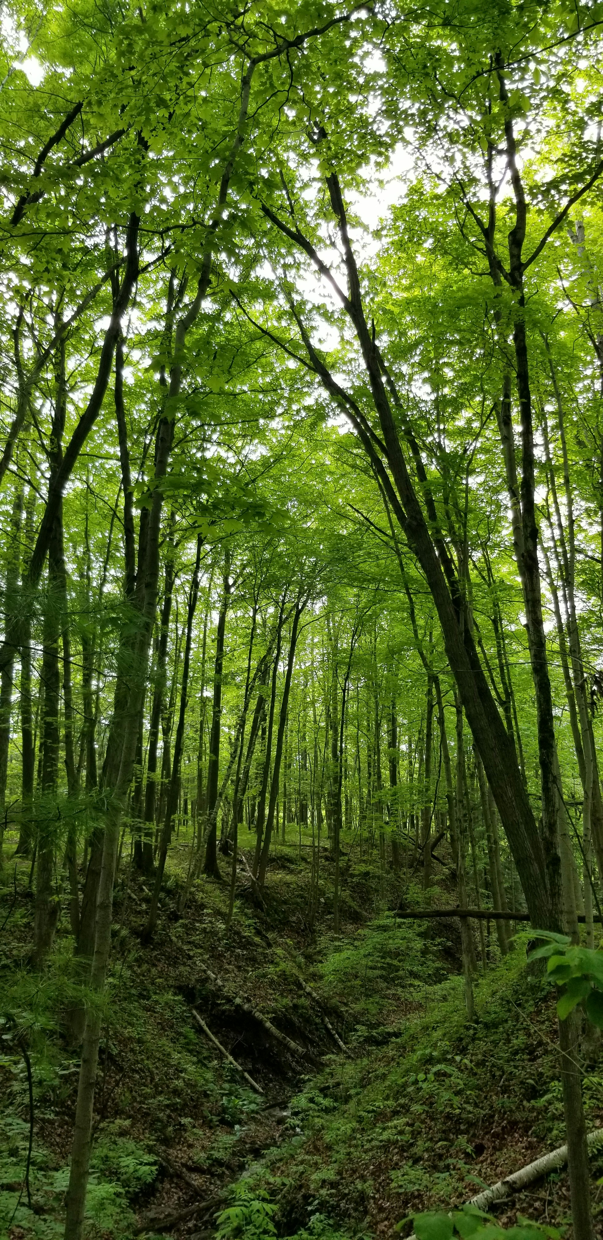 Photo by breno_lucas