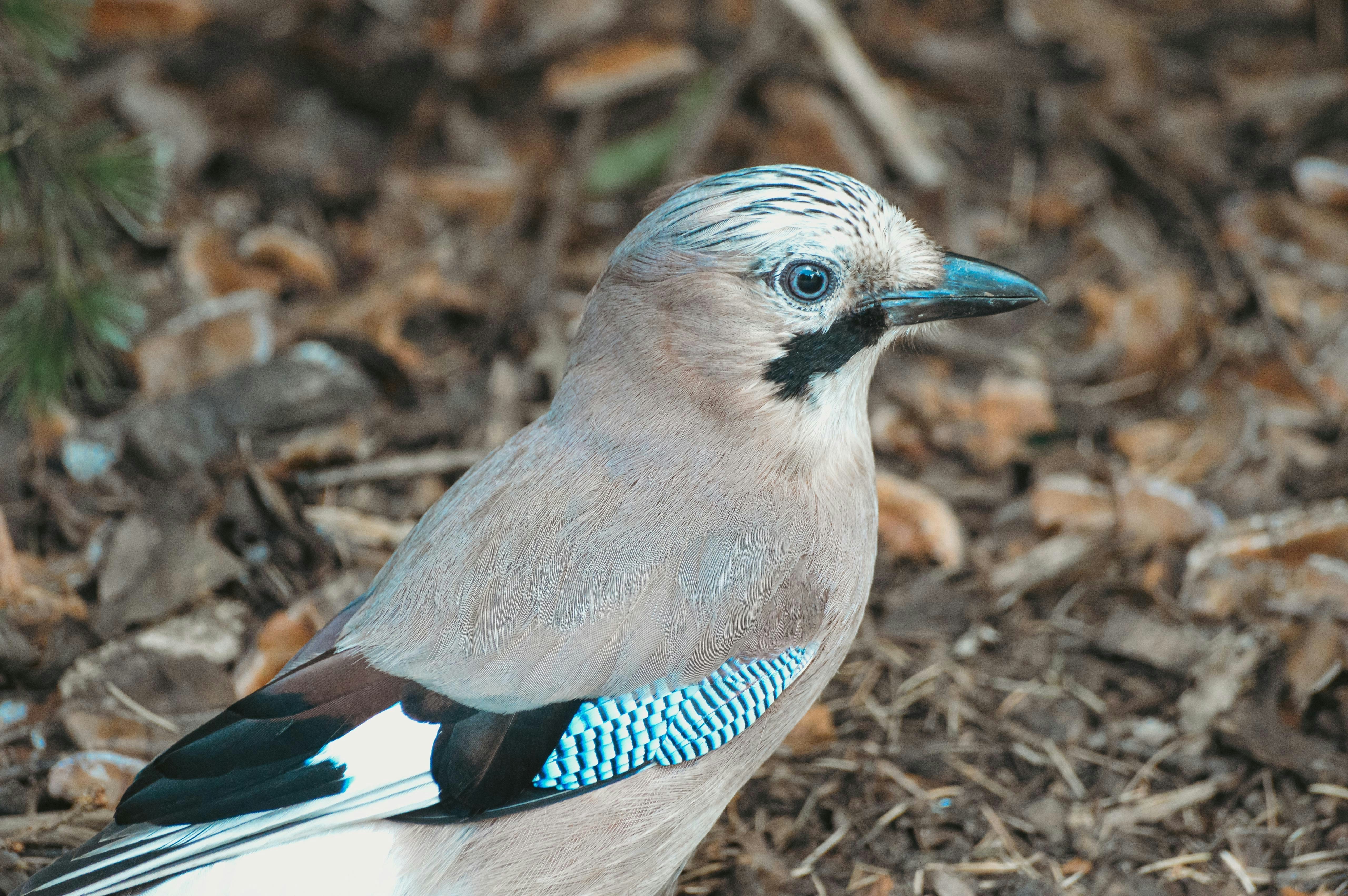 Photo by fatihsimsek