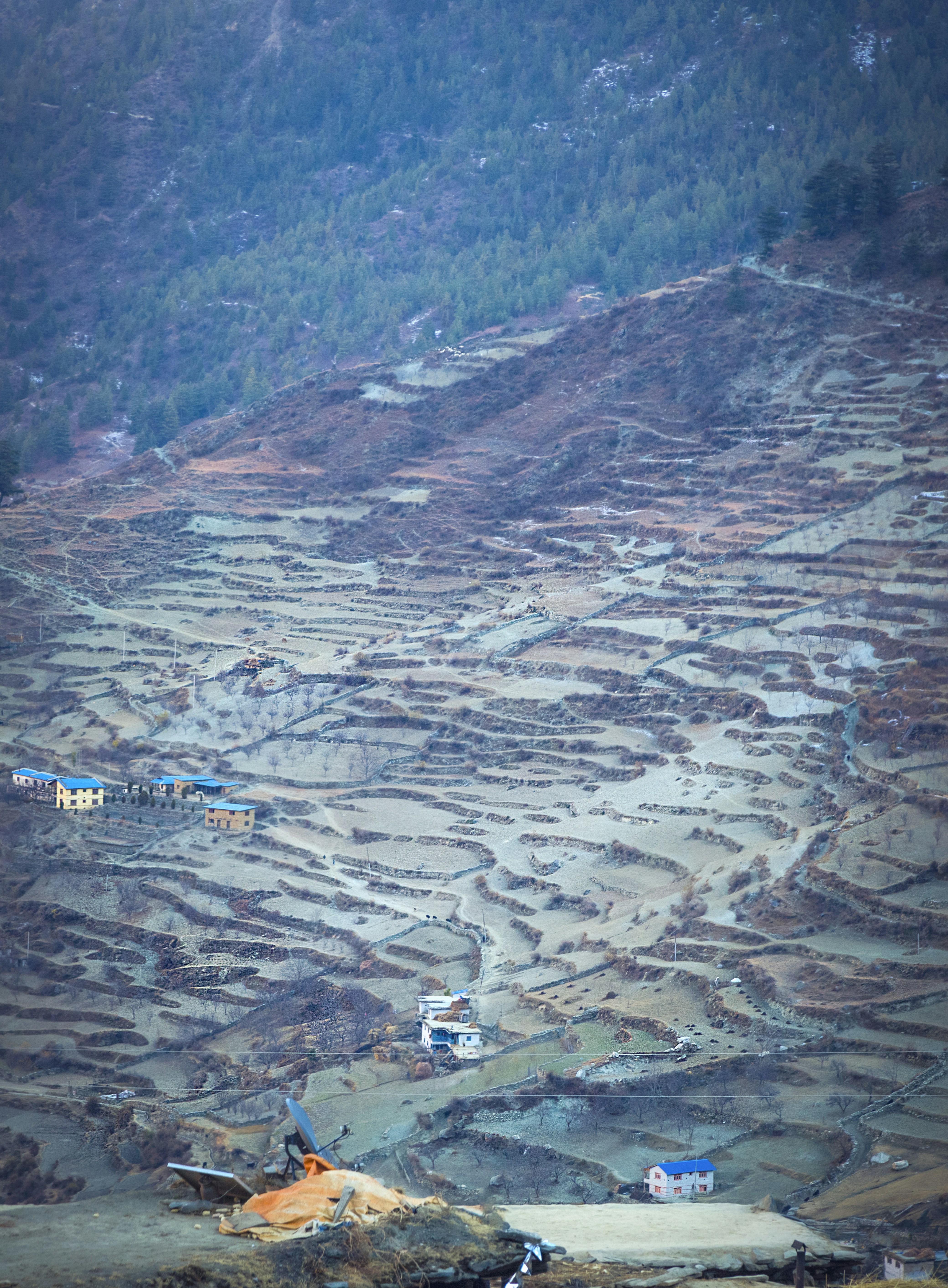 Photo by ashokjkshetri