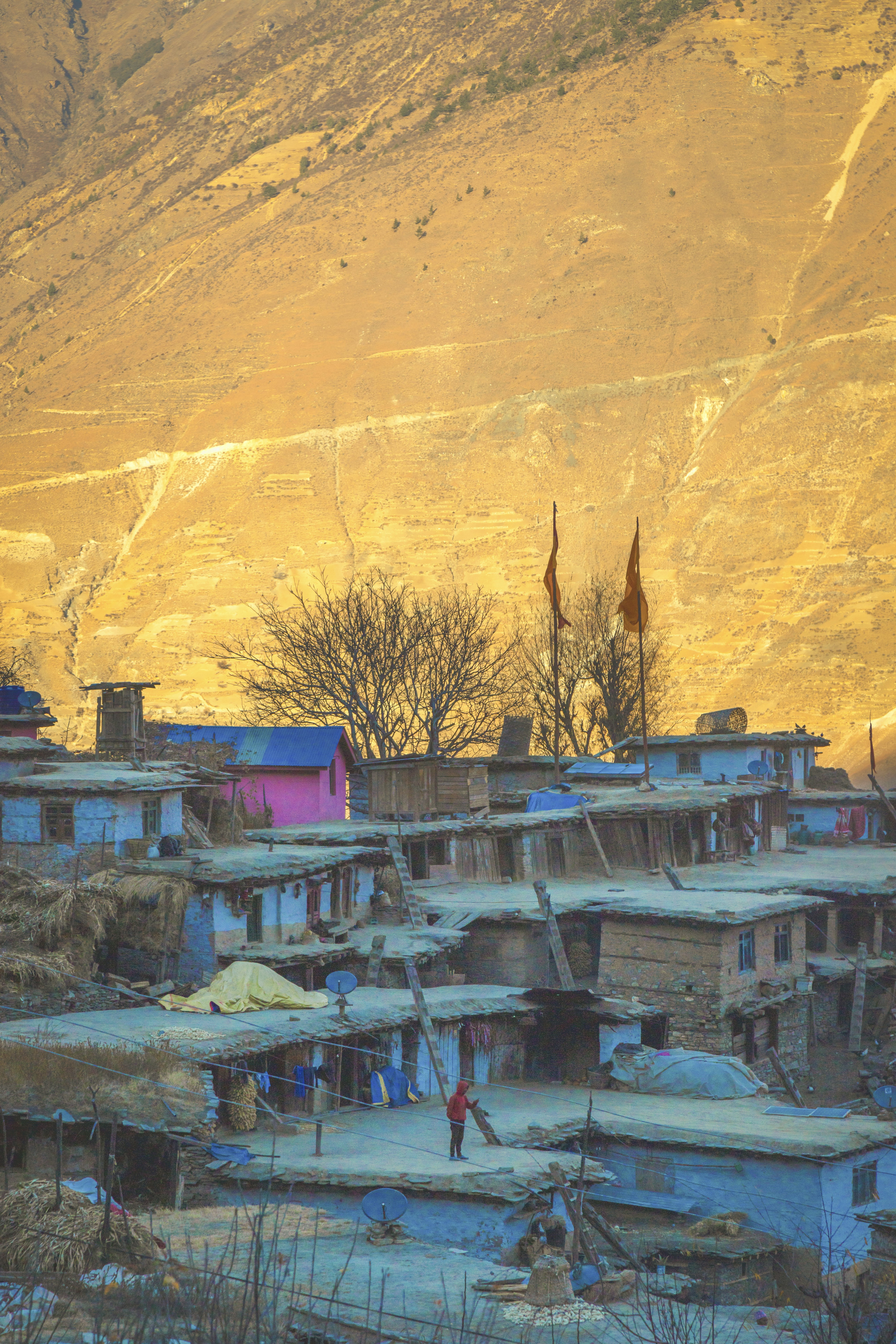 Photo by ashokjkshetri