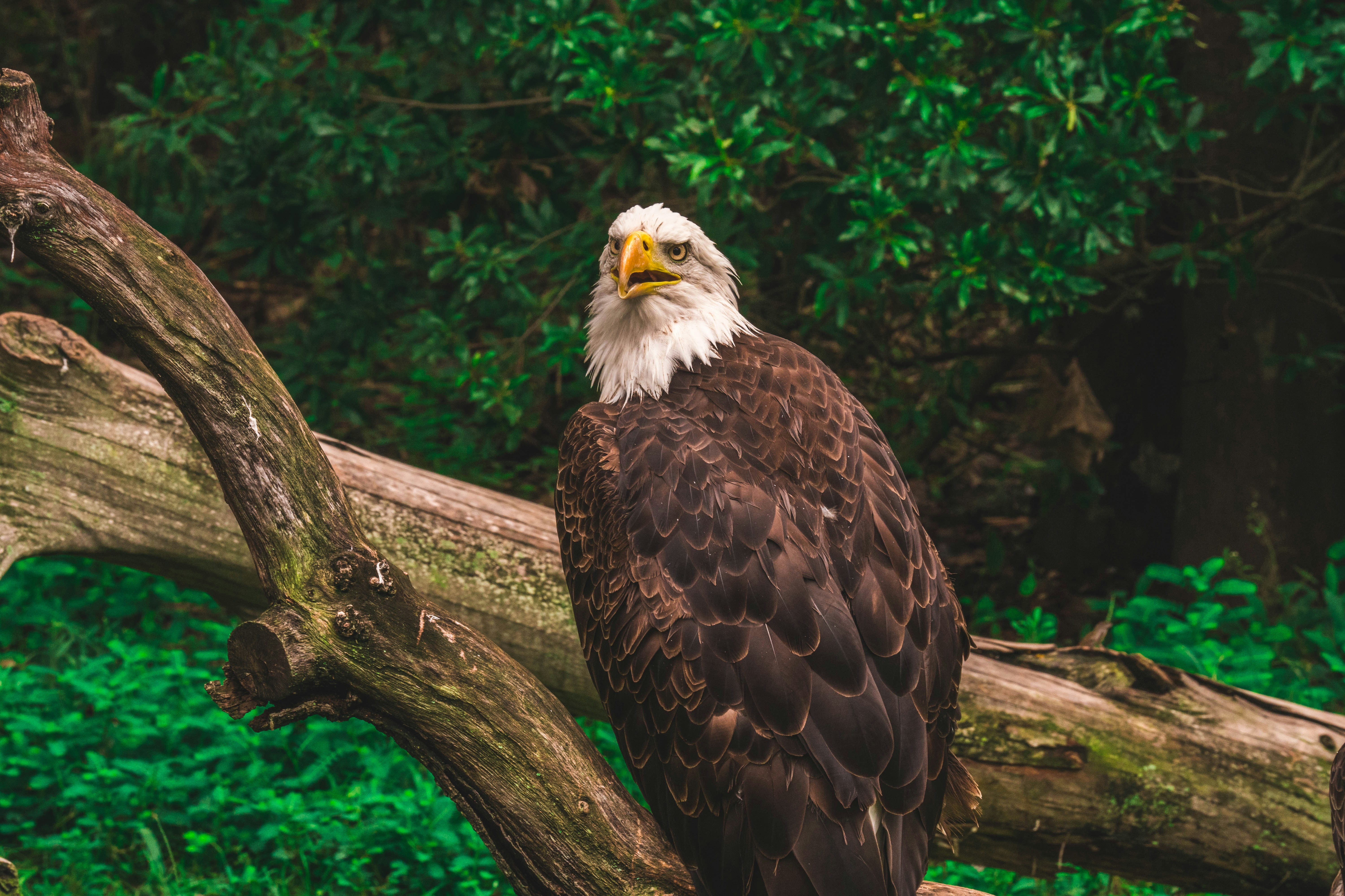 Photo by virginiaportillo