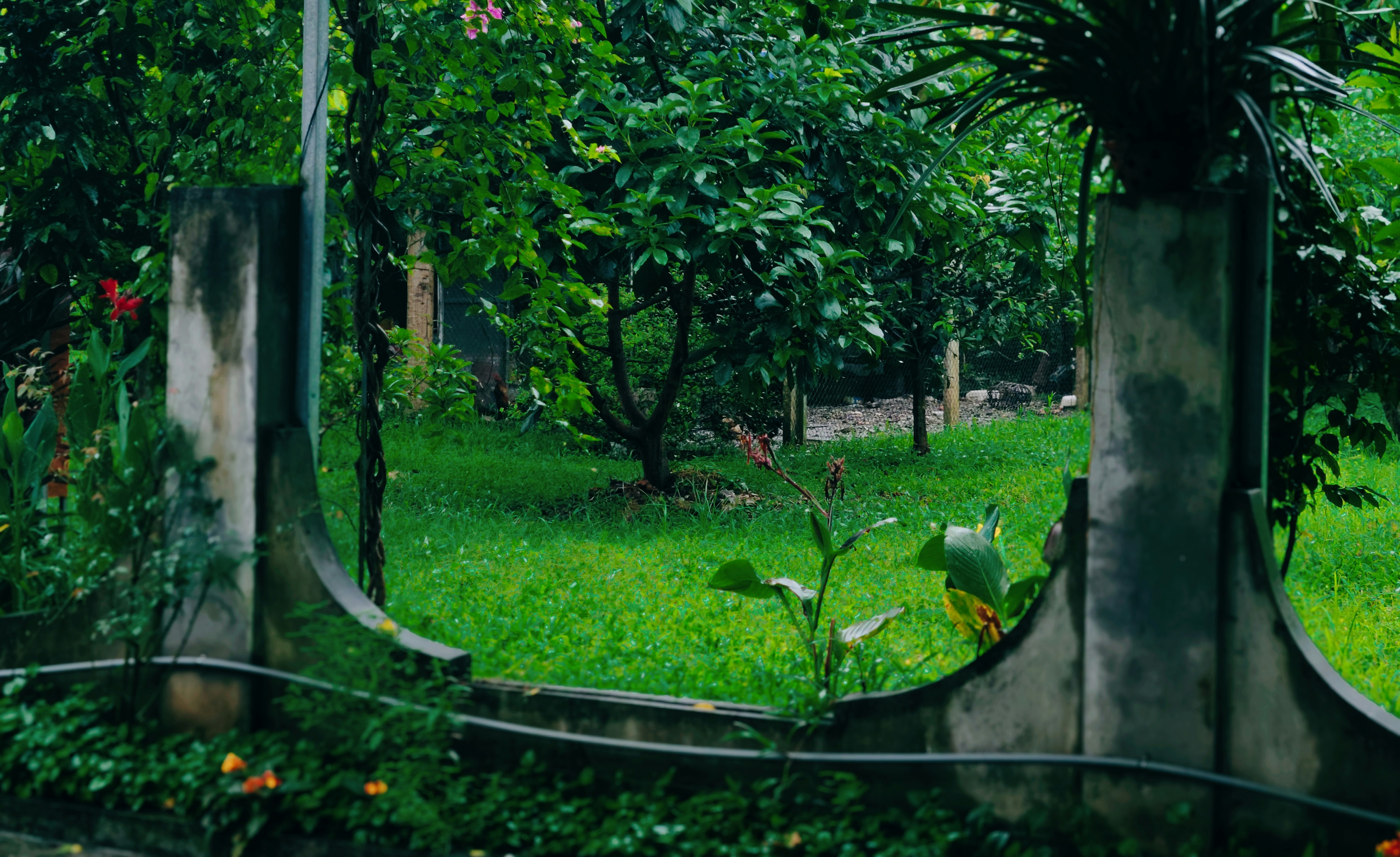 A gate in the middle of a lush green park