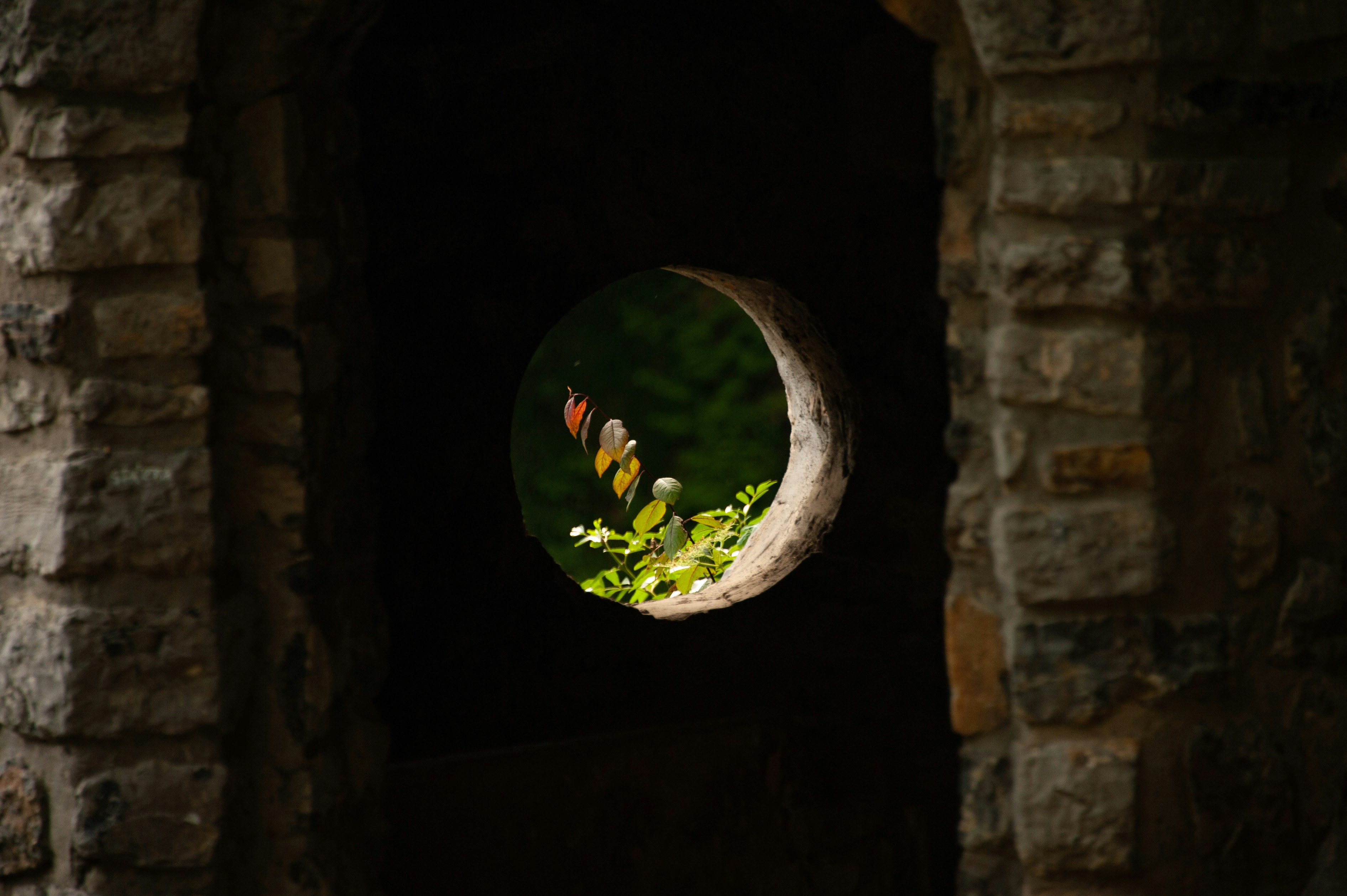 A window in a stone building with a view of the outside