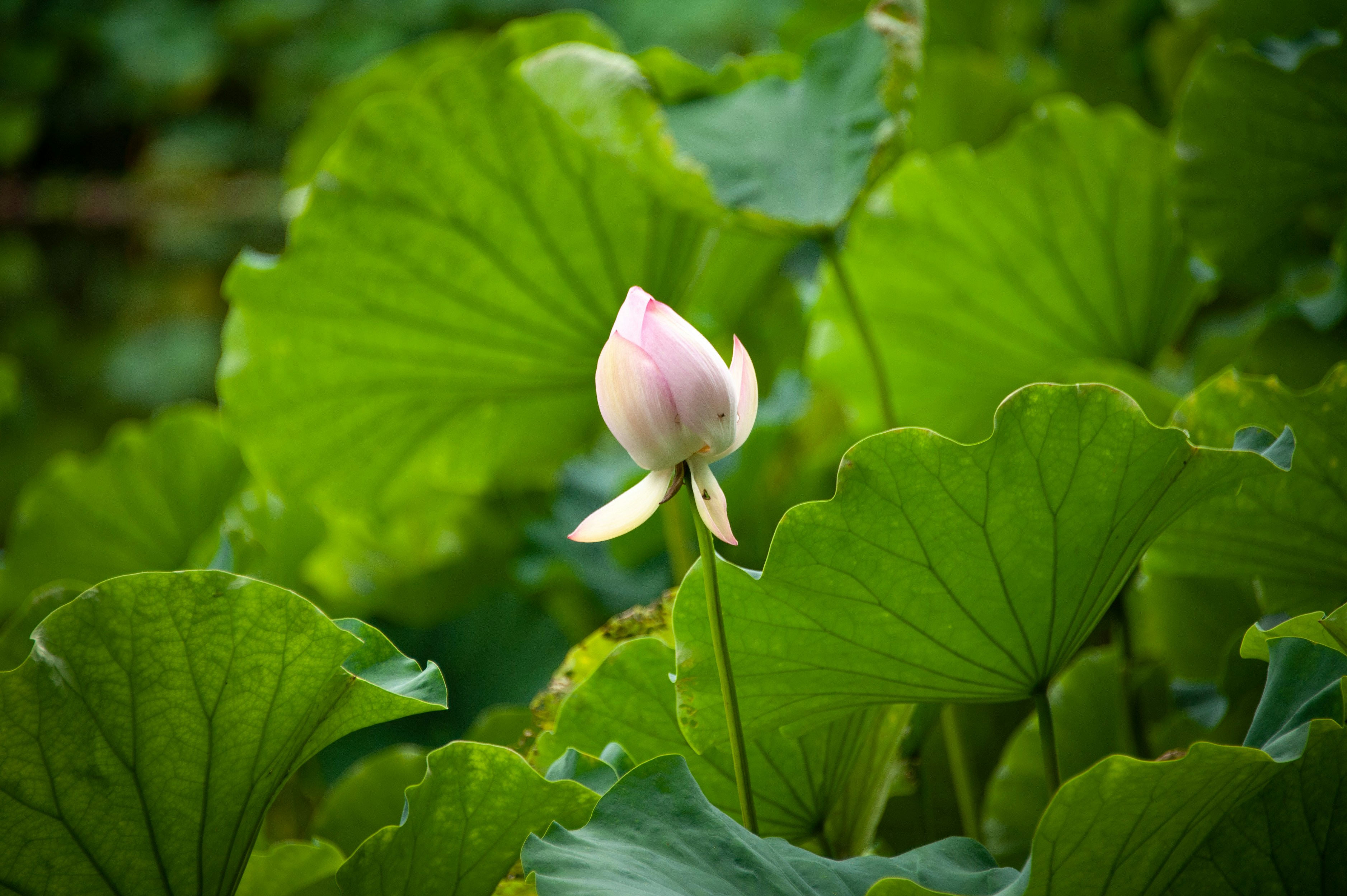 Photo by rrricharddd