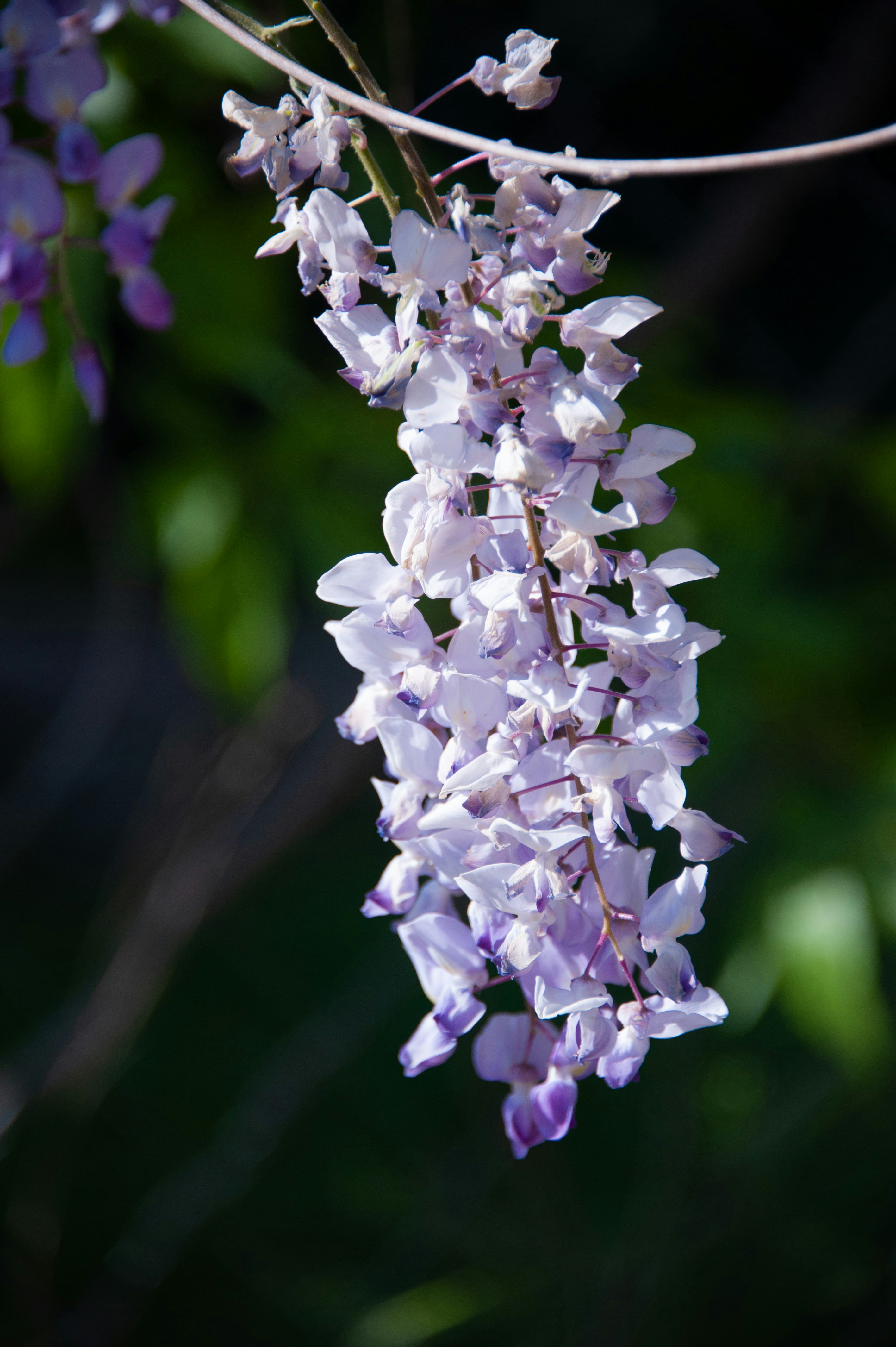 Photo by rrricharddd