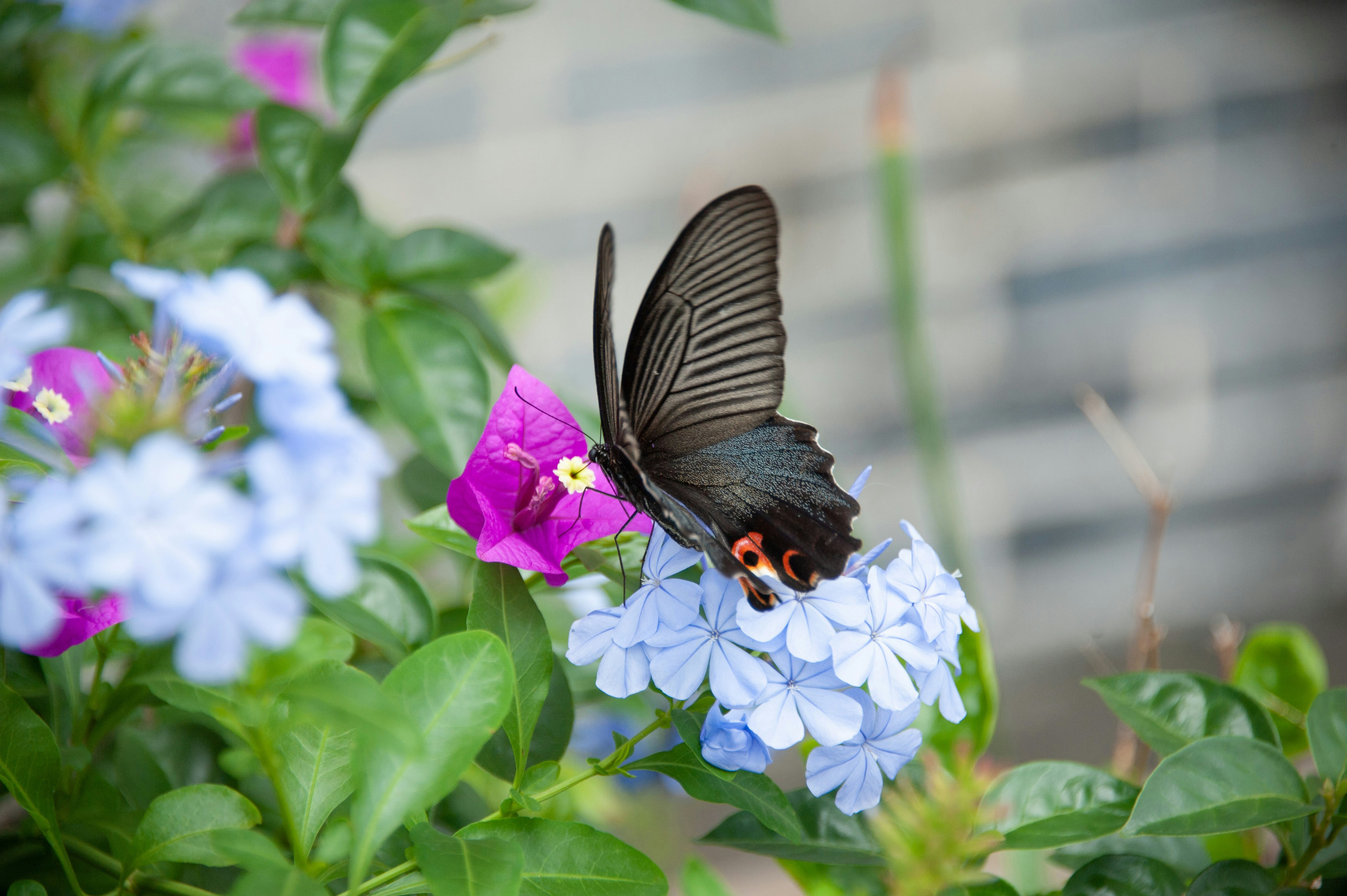 Photo by rrricharddd