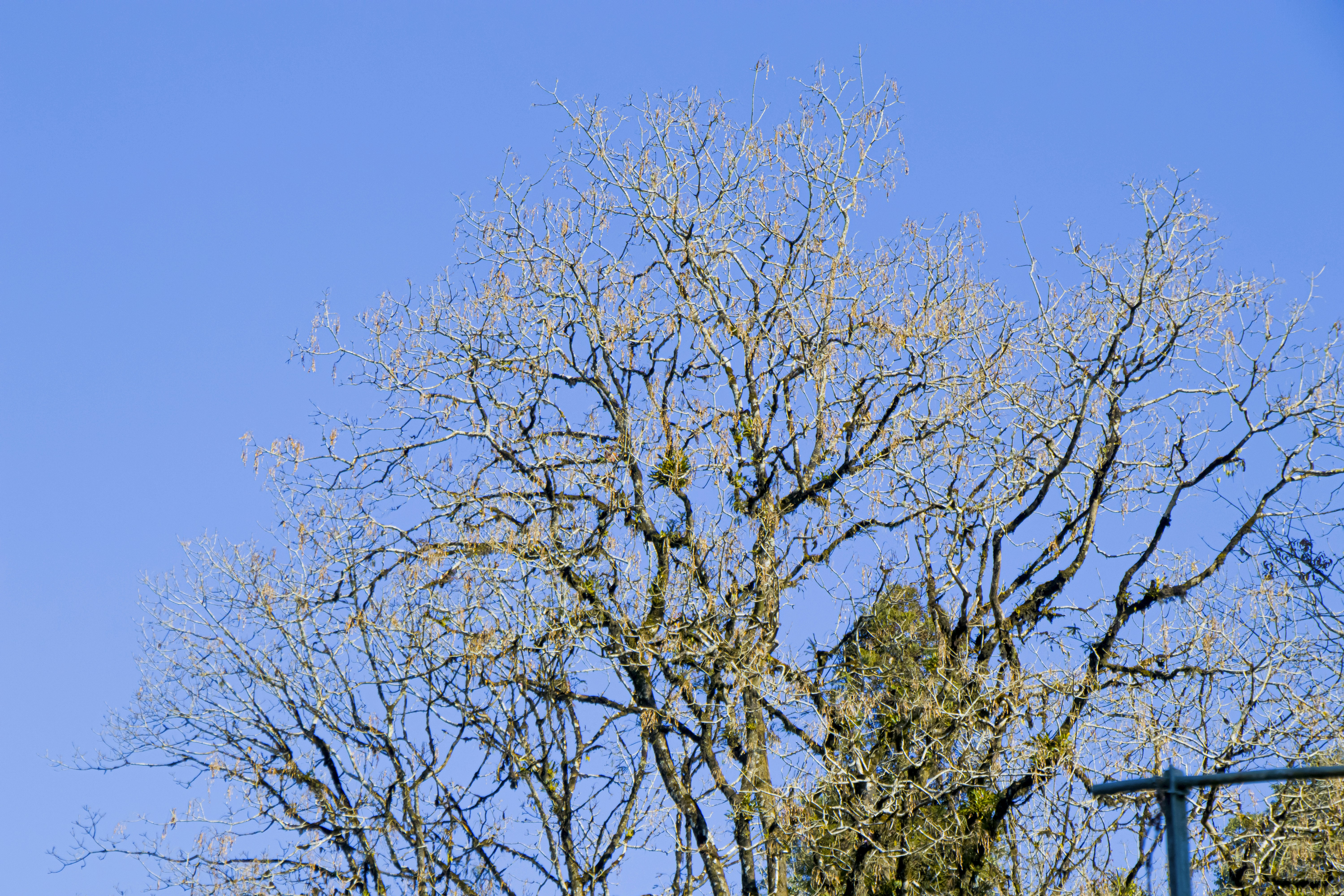 Photo by expressivecapture