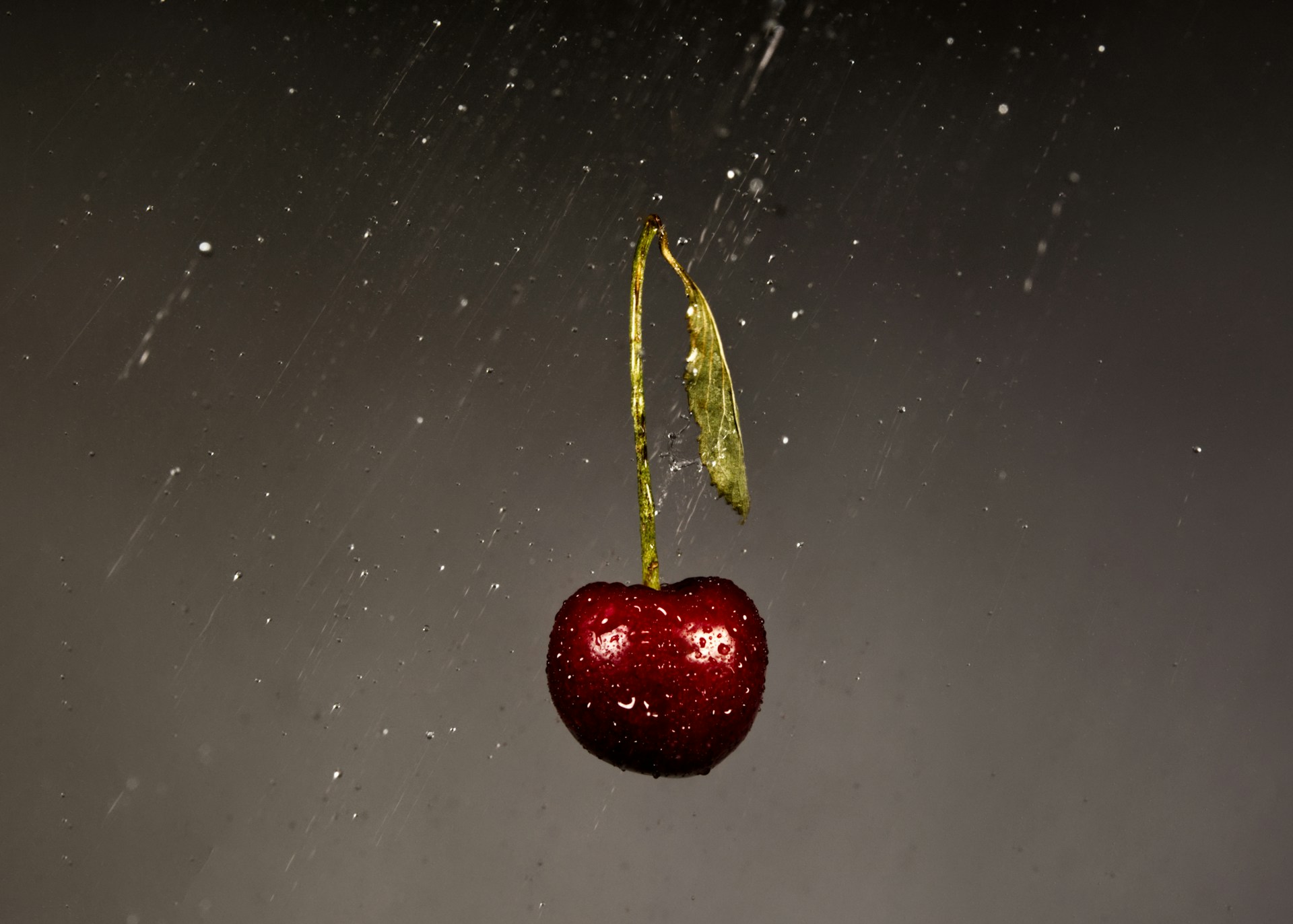A red cherry hanging from a green stem
