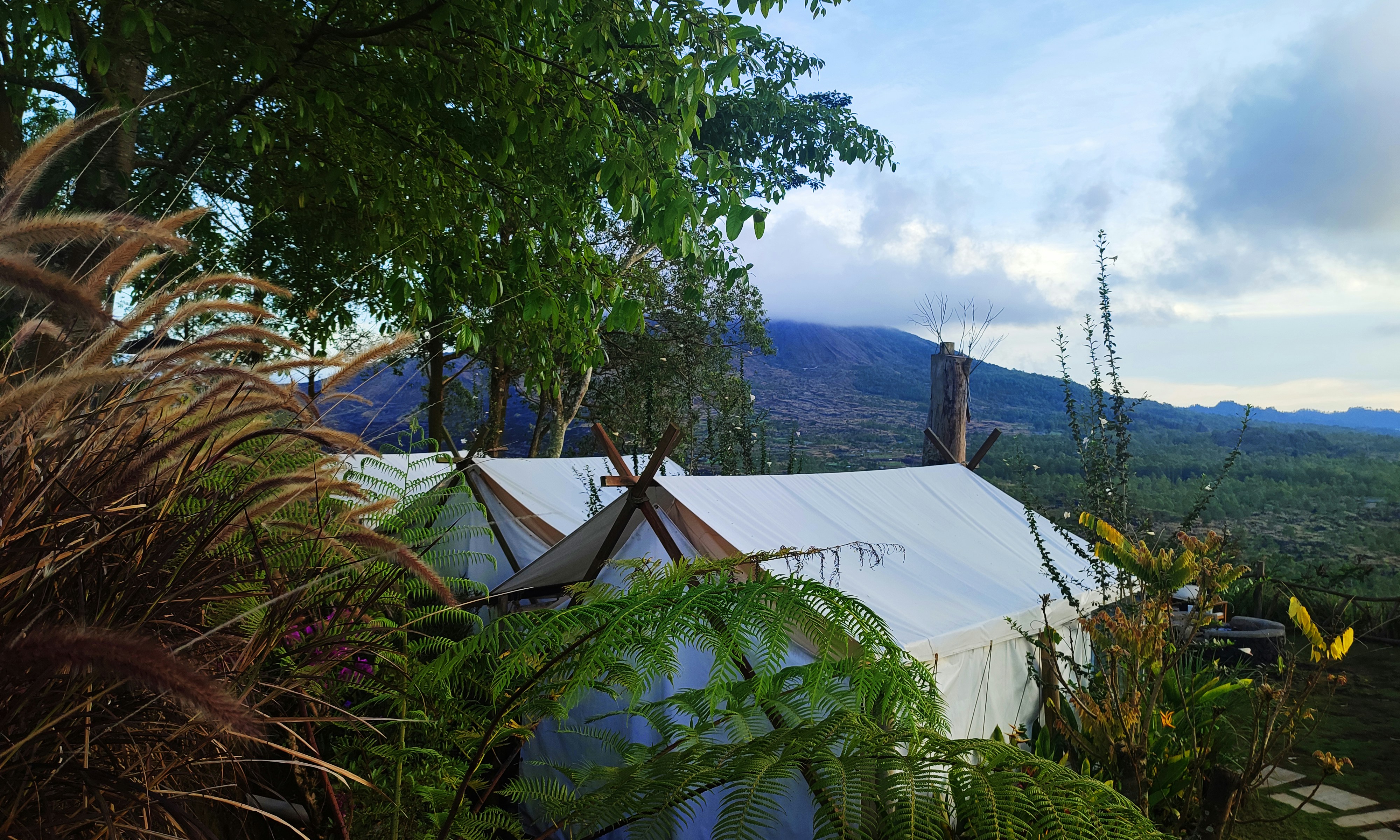 A house with a white roof surrounded by greenery