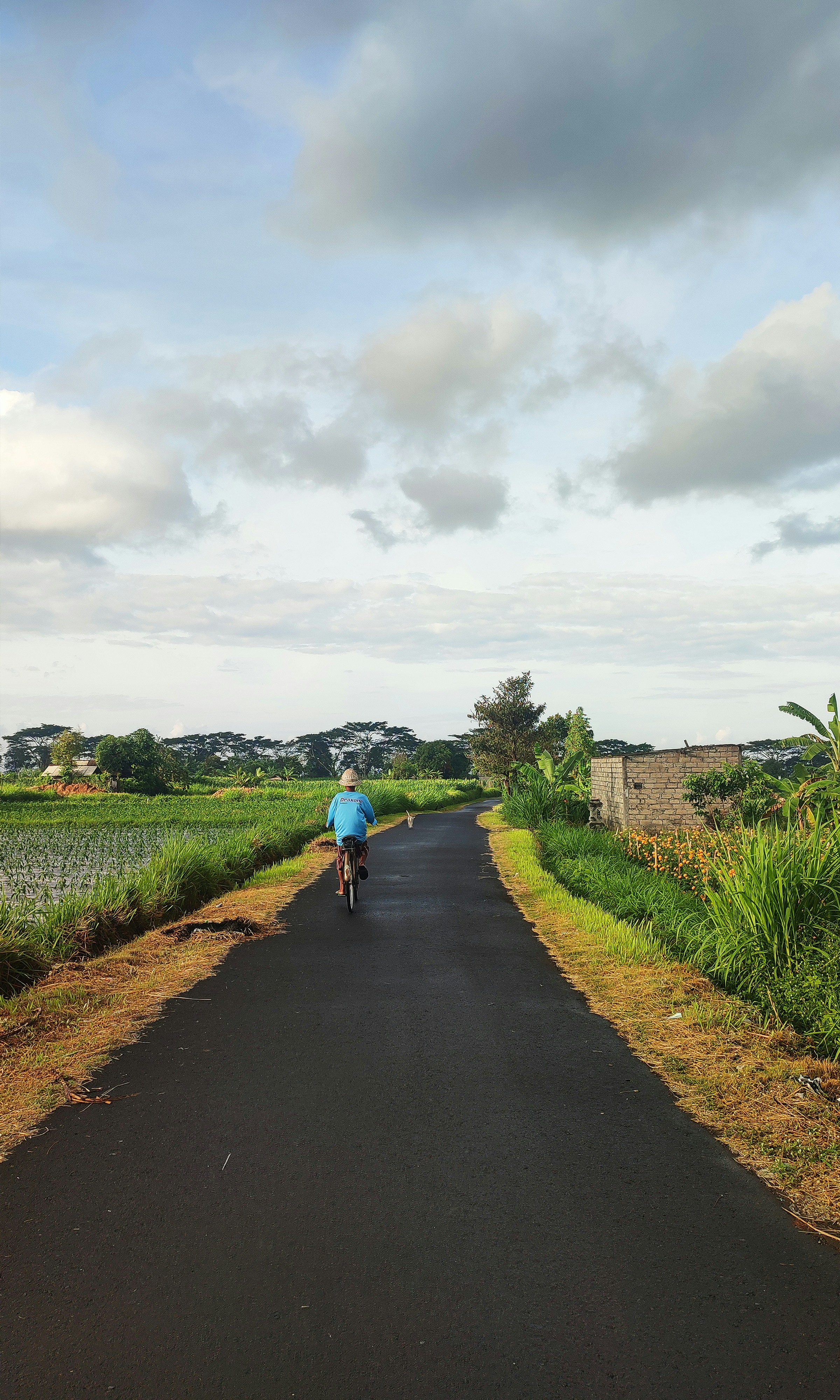 A man riding a bike down a road next to a lush green field