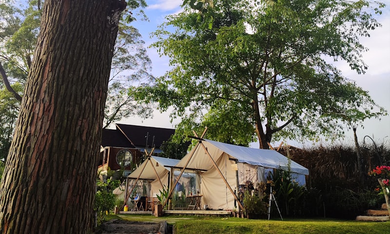 Tenda glamping Indonesia di tengah hutan pinus yang asri