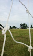 A close up of a soccer goal net with trees in the background