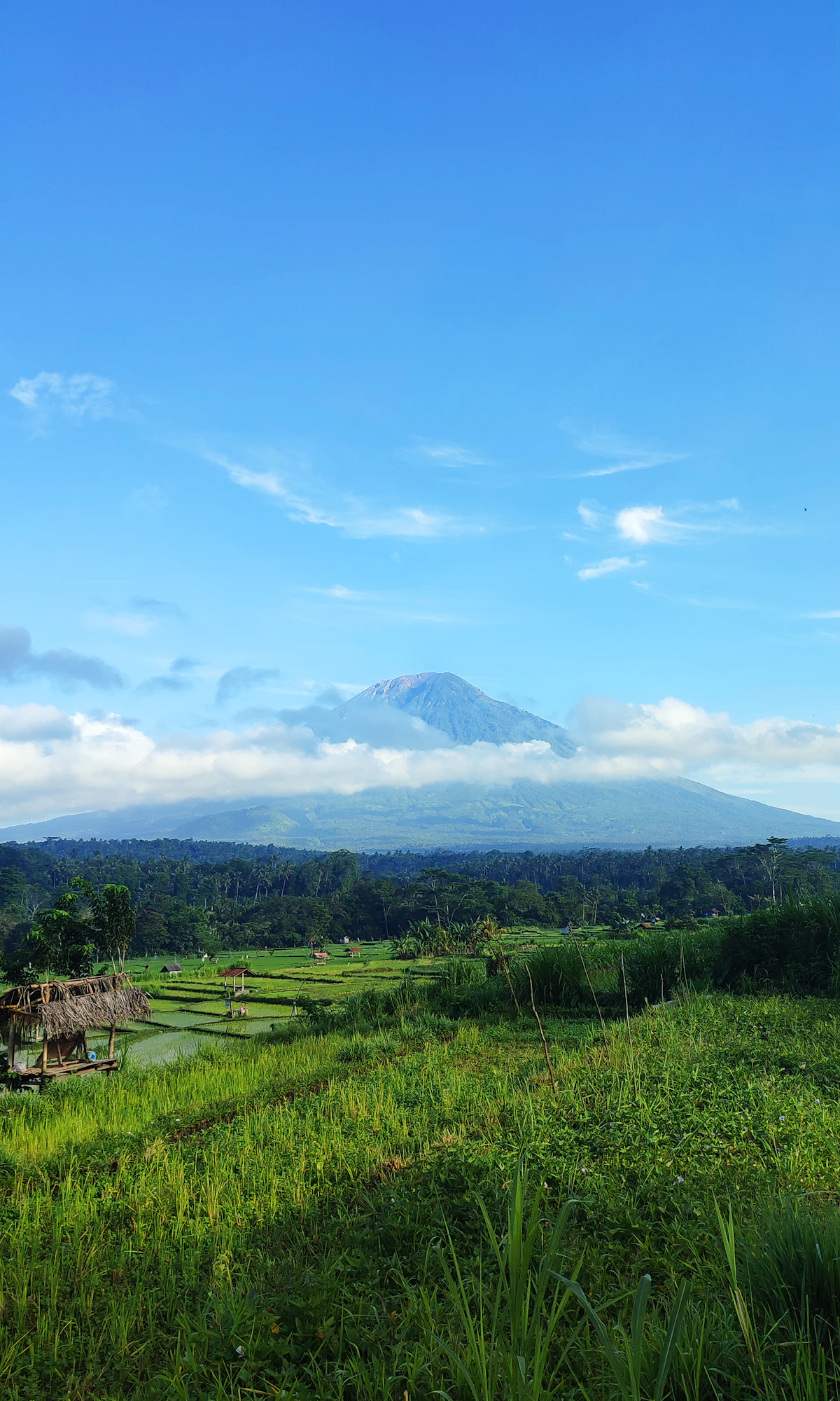 Sidemen Valley Ancestral Rice Terrace Trekking & Subak Irrigation Discovery