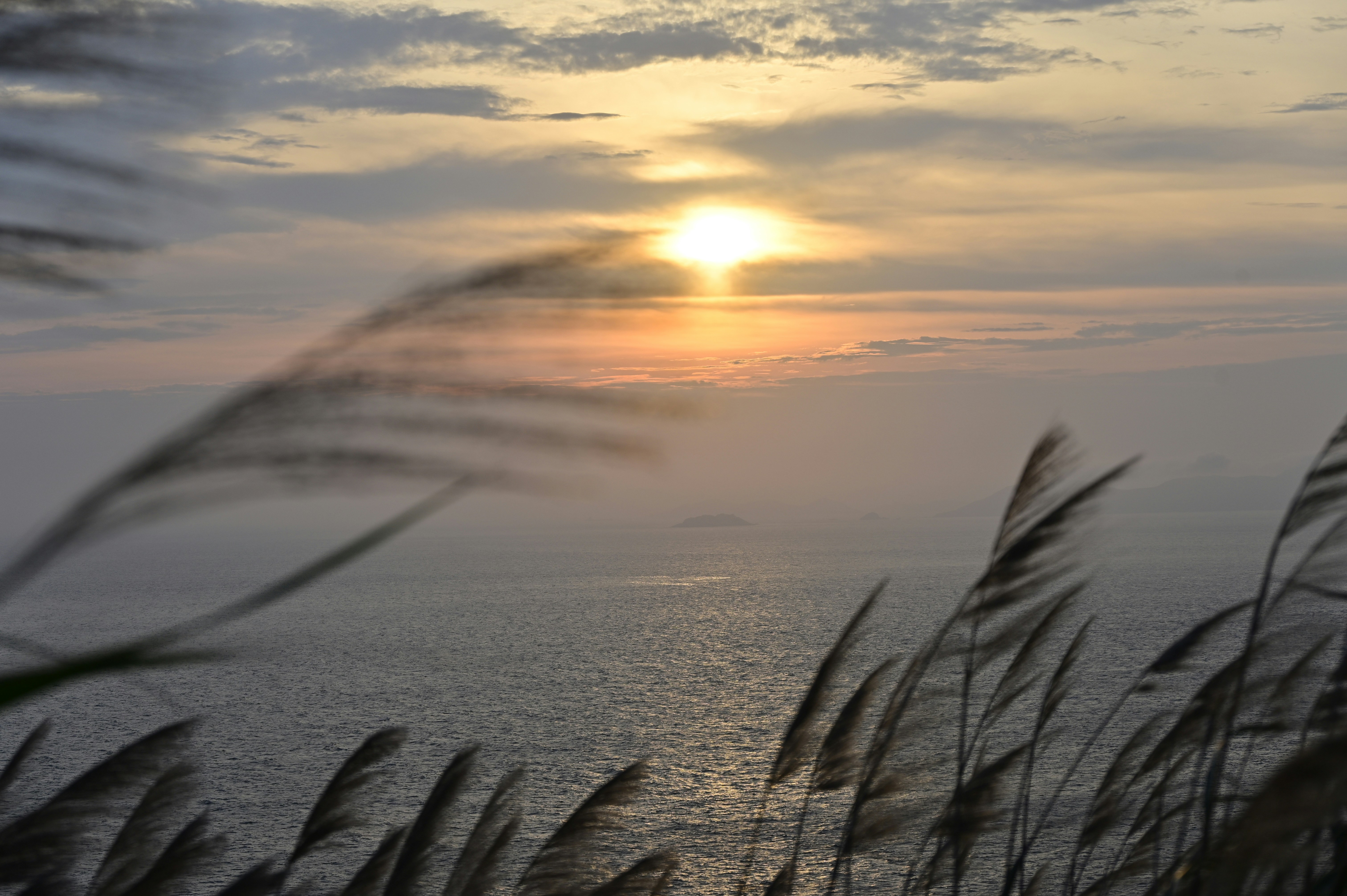 Photo by mojitogirl25