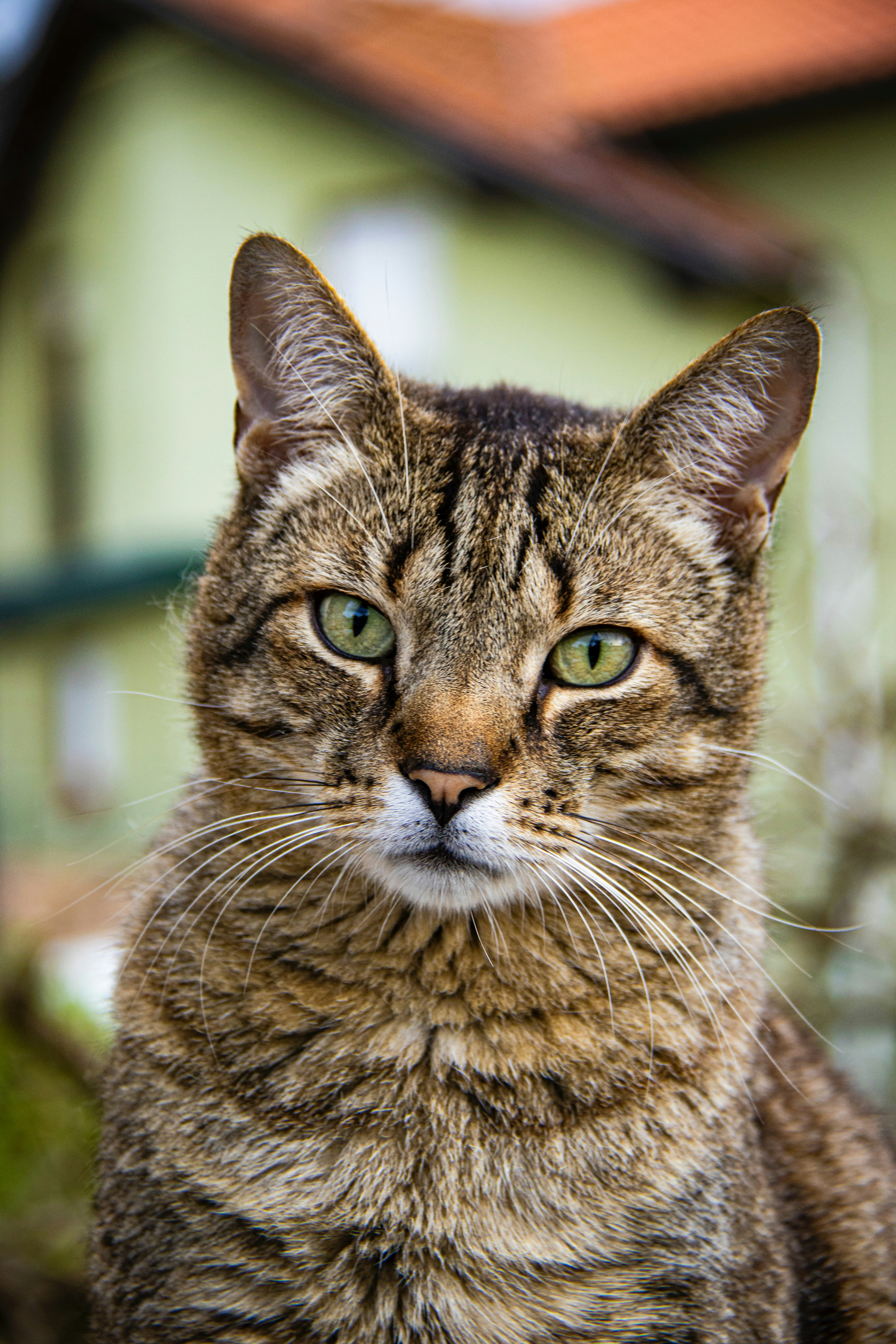 Photo by pablo_saancheezz