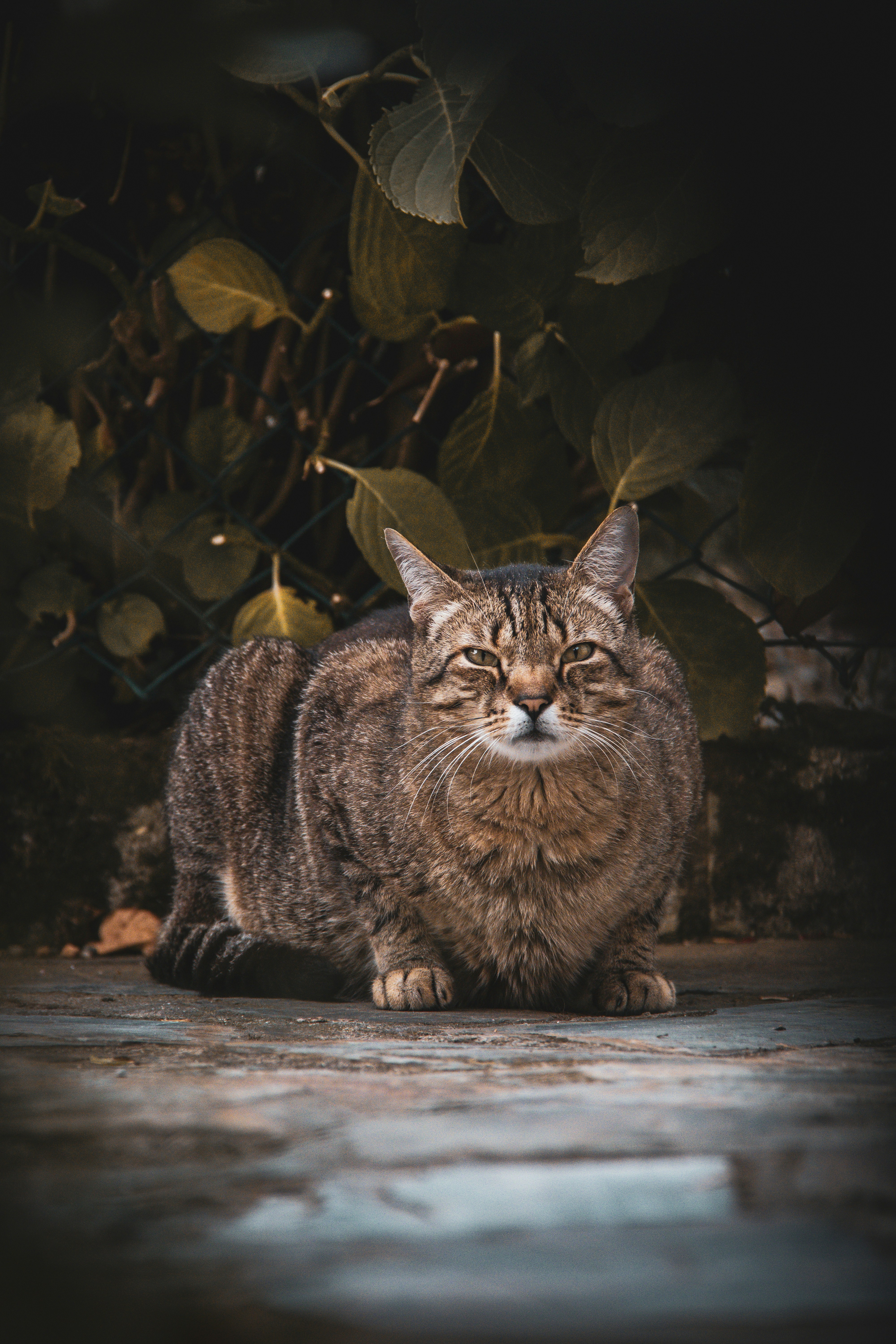 Photo by pablo_saancheezz