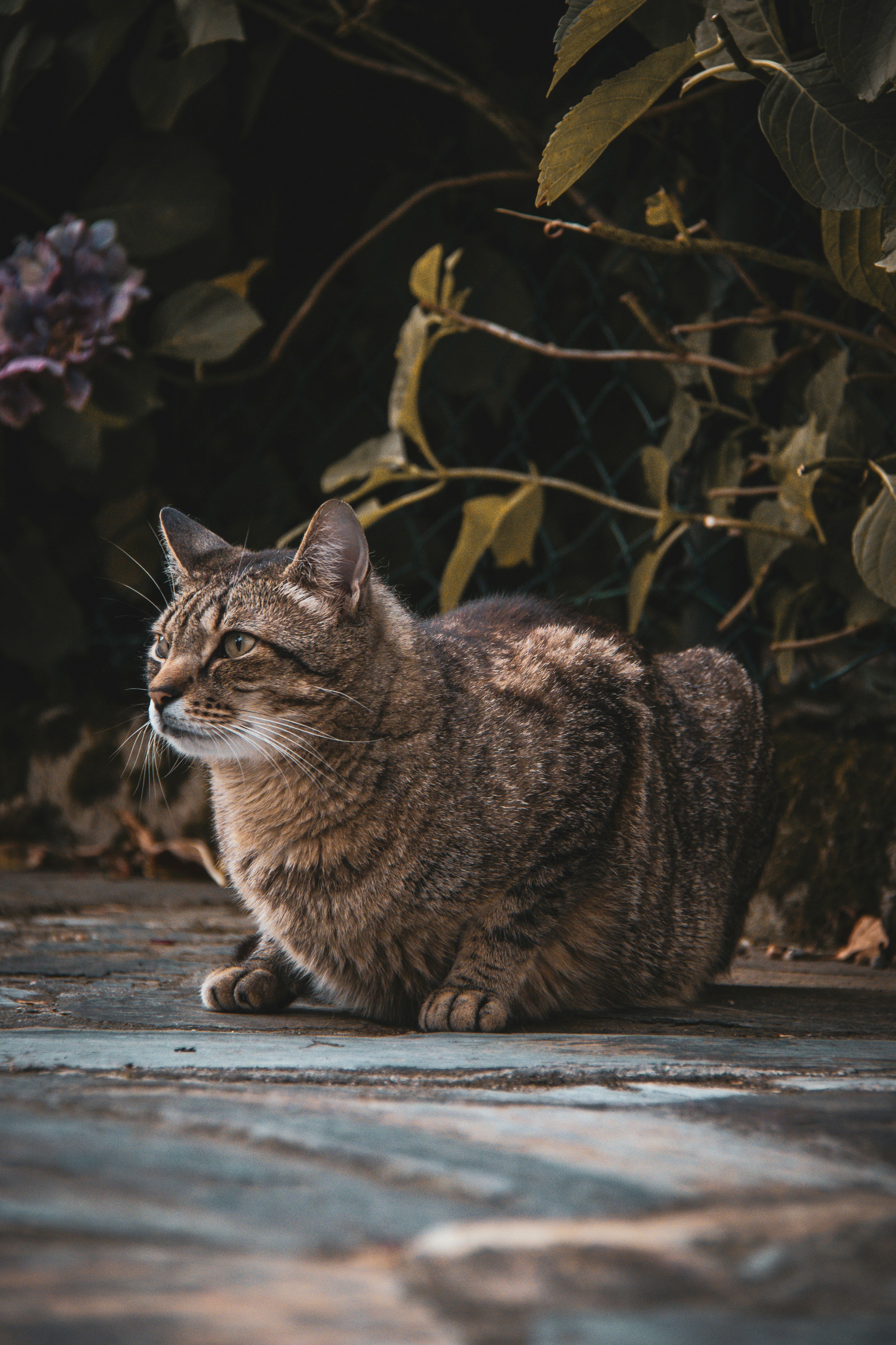 Photo by pablo_saancheezz