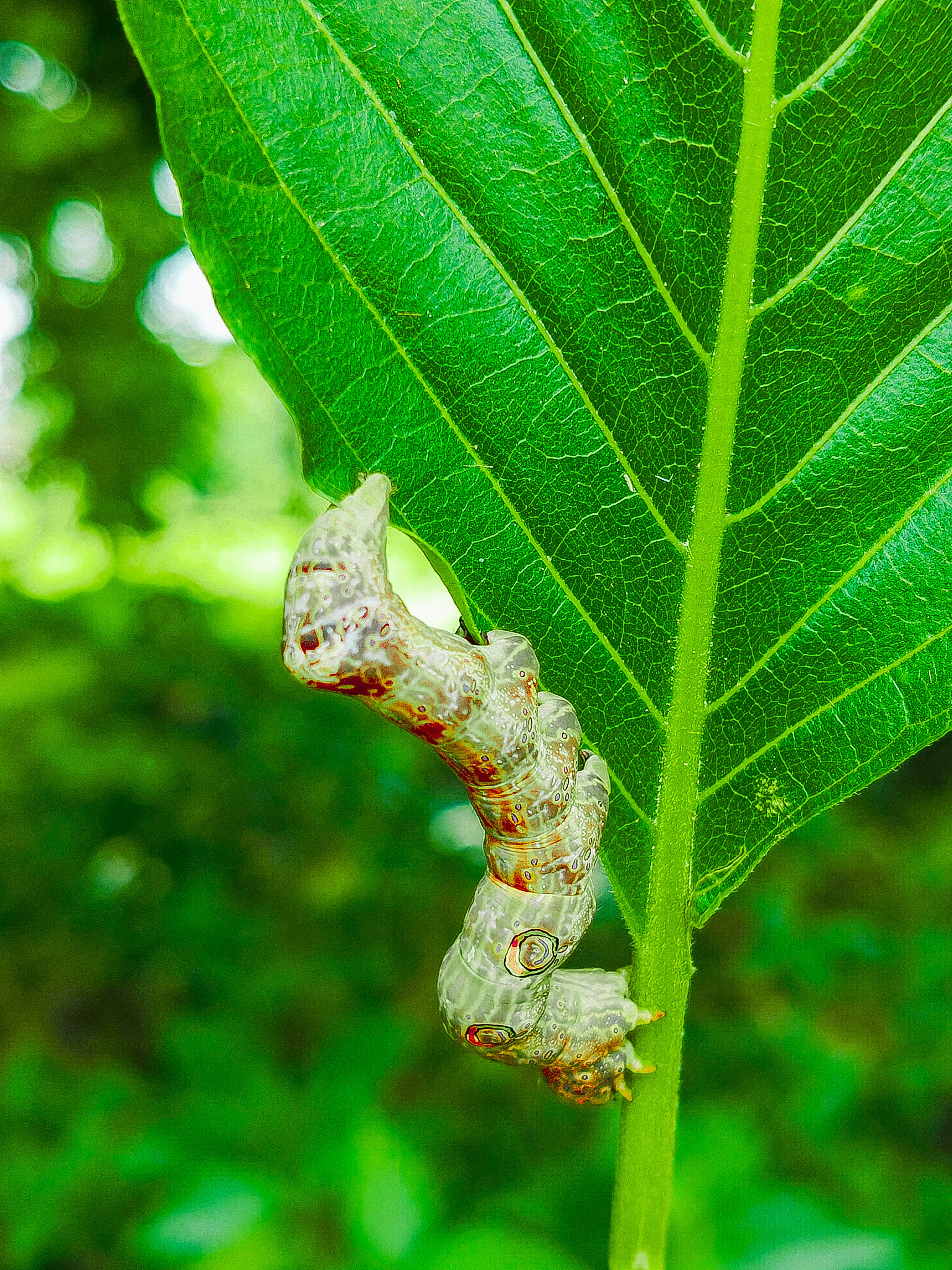 Photo by all_farming_