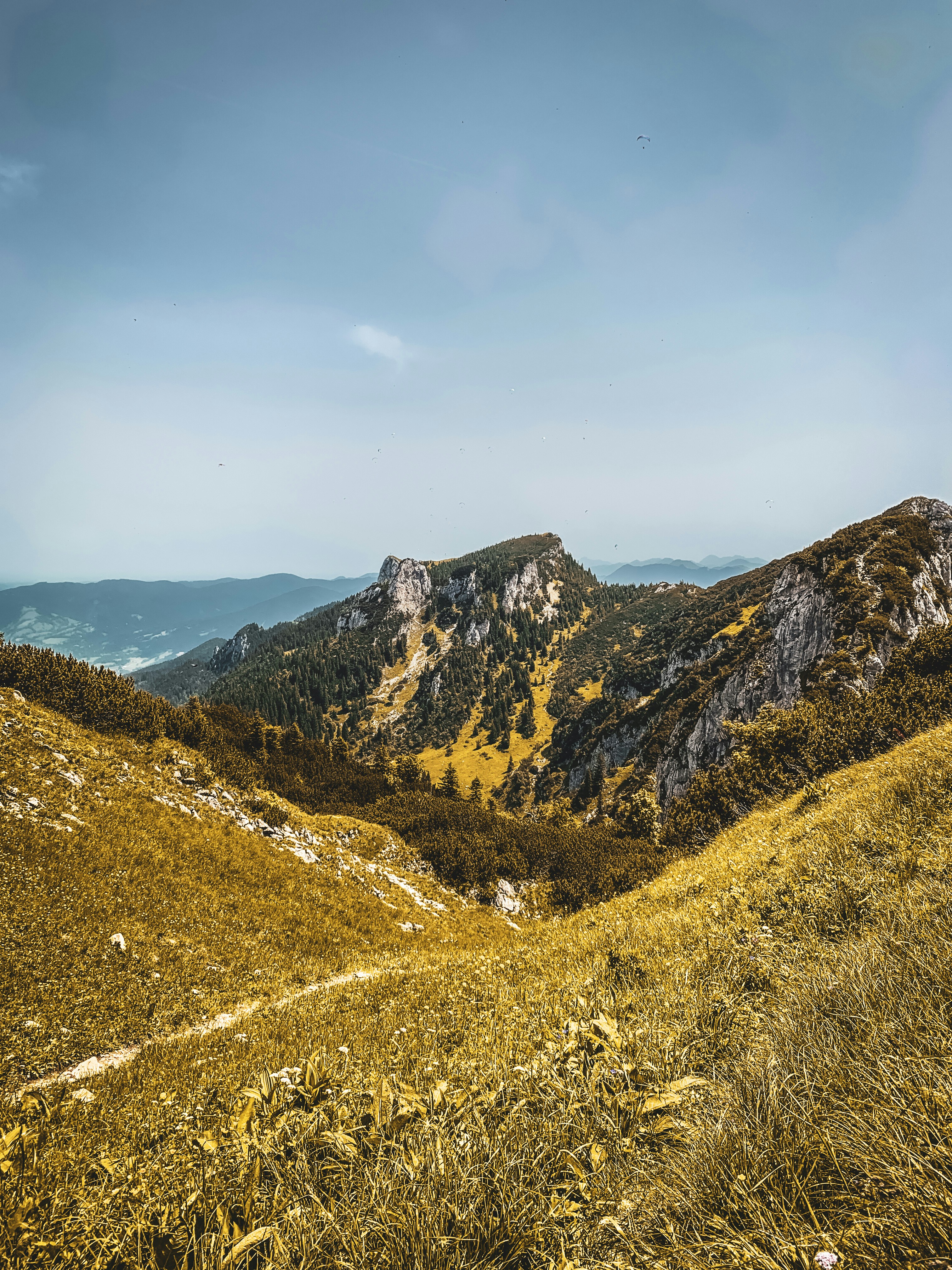 Photo by shutter_speed_