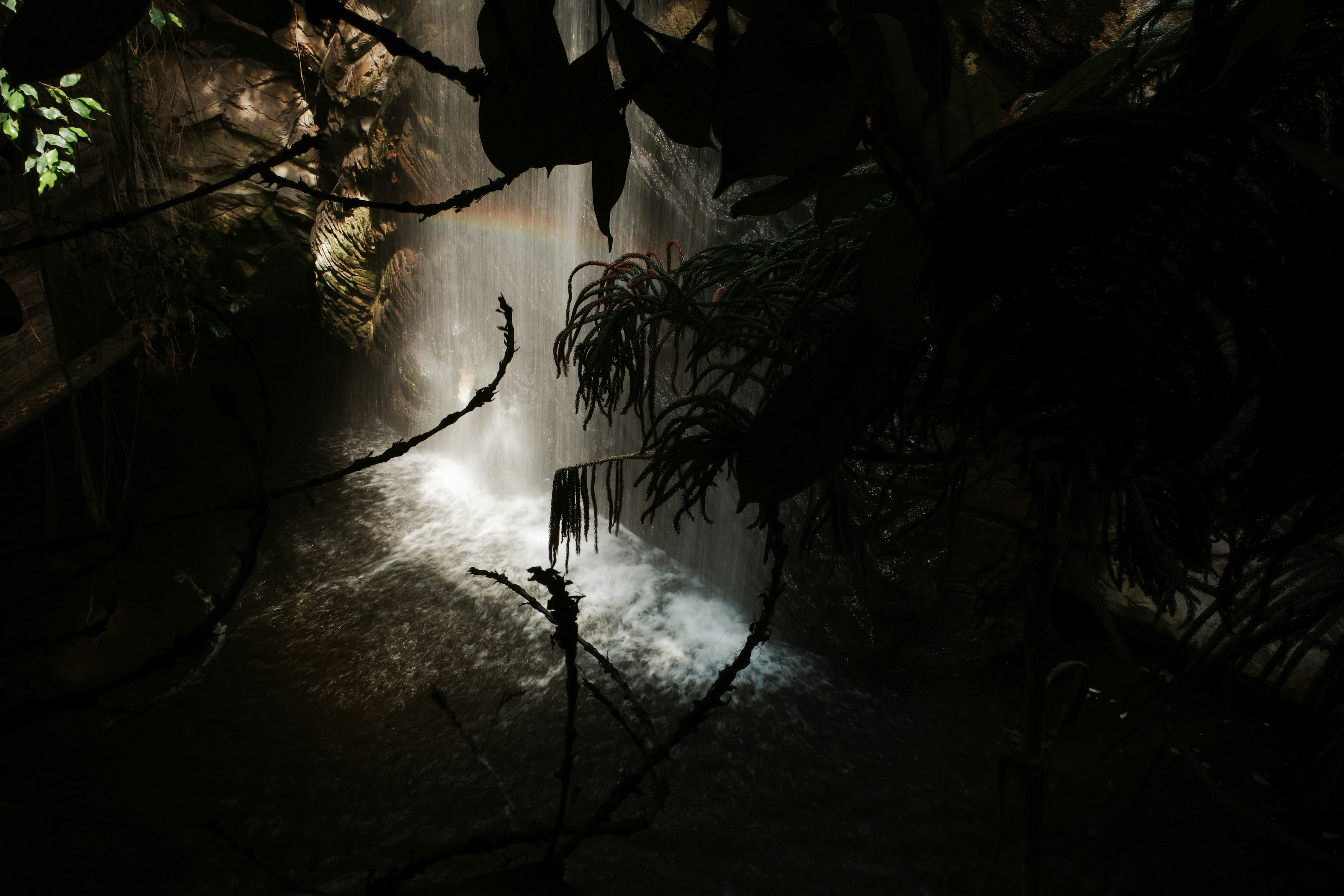 Photo by stachmann