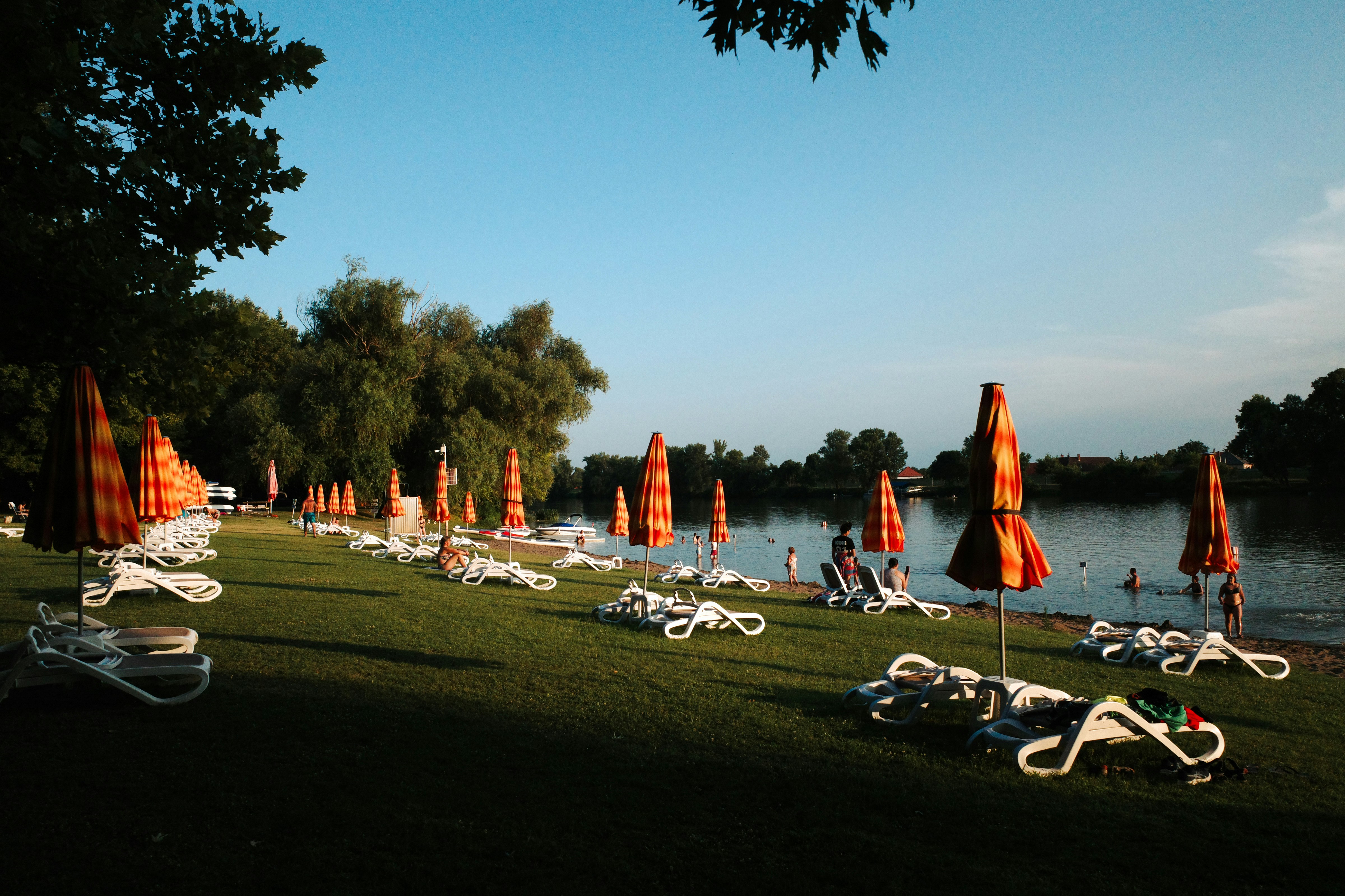 A row of lawn chairs sitting on top of a lush green field