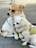 Two small dogs sitting next to each other on a sidewalk