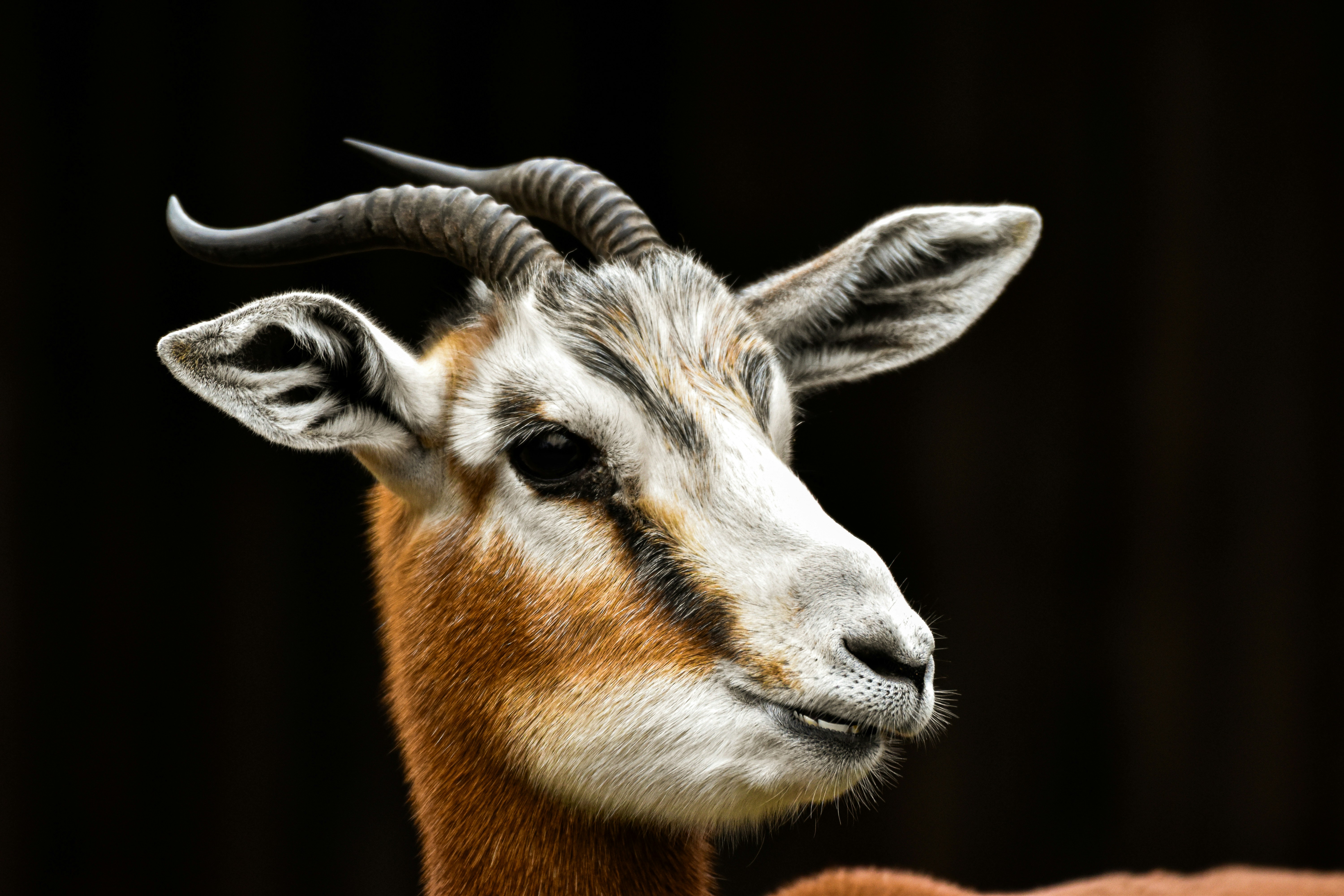 Photo by aarondcosta0