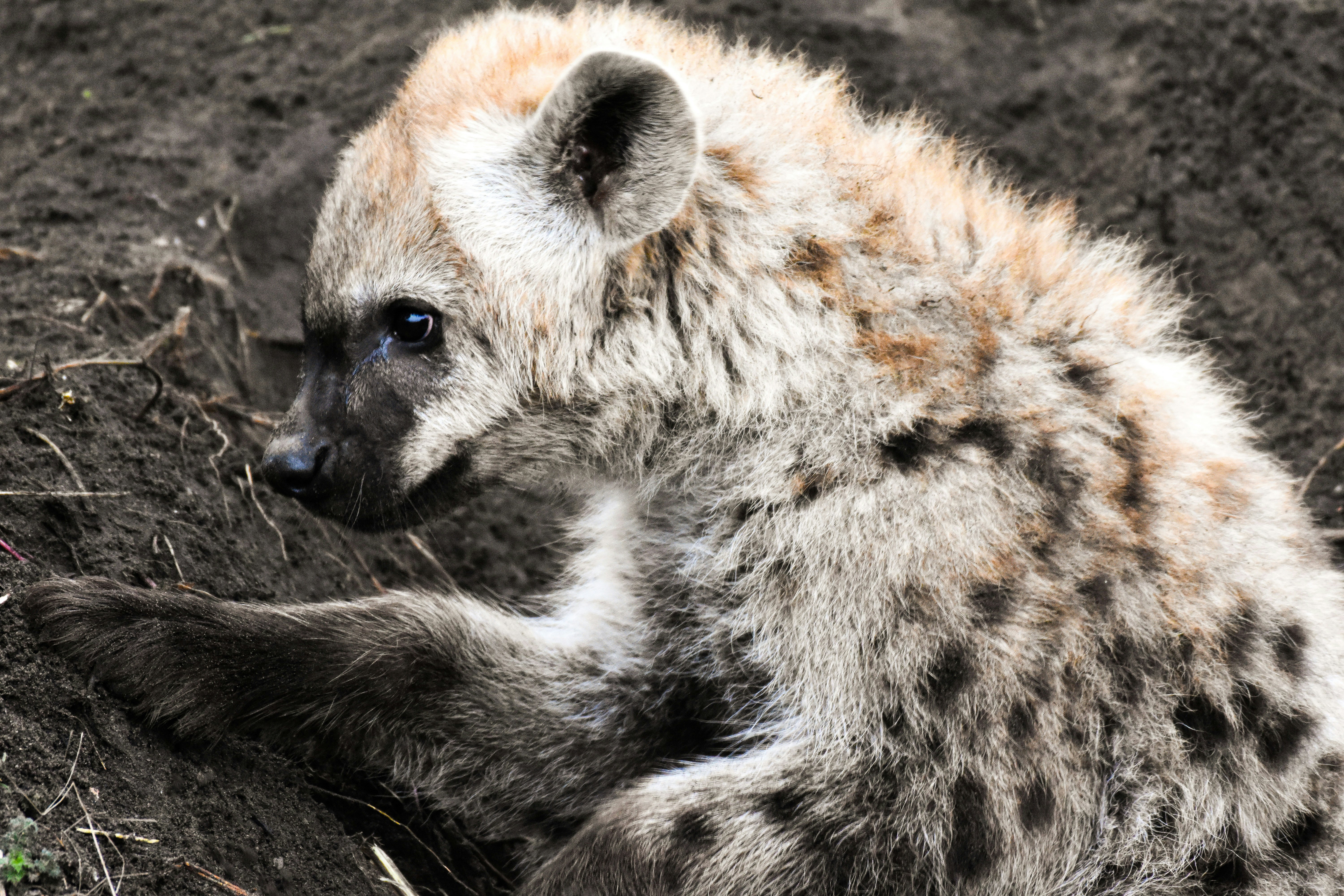 Photo by aarondcosta0