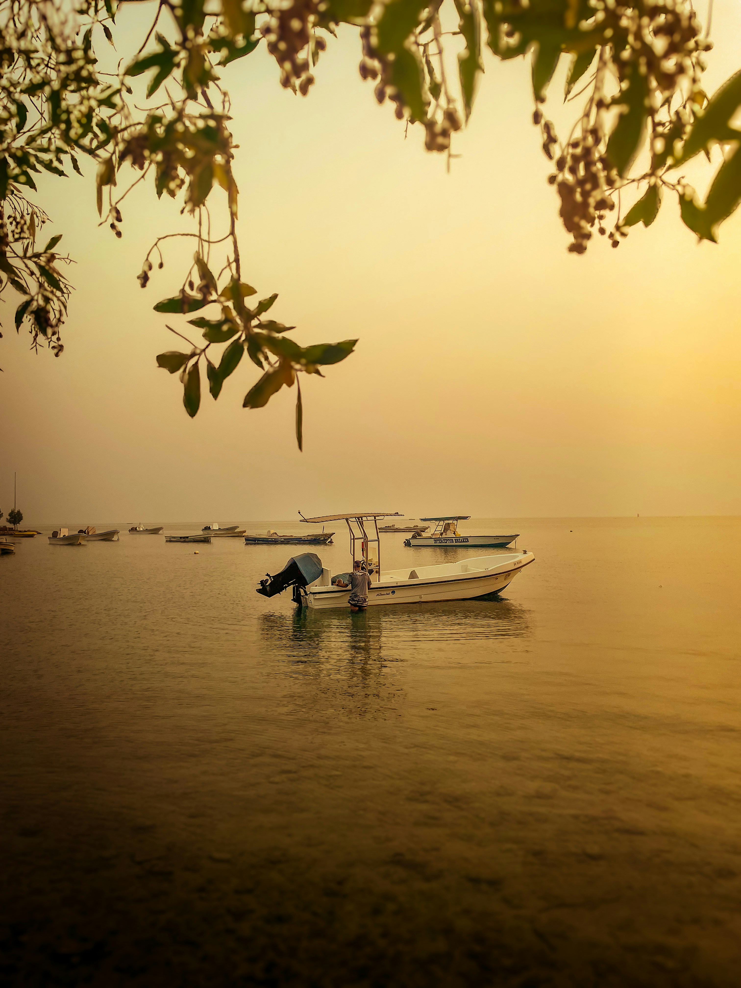 Photo by jinzvarghese