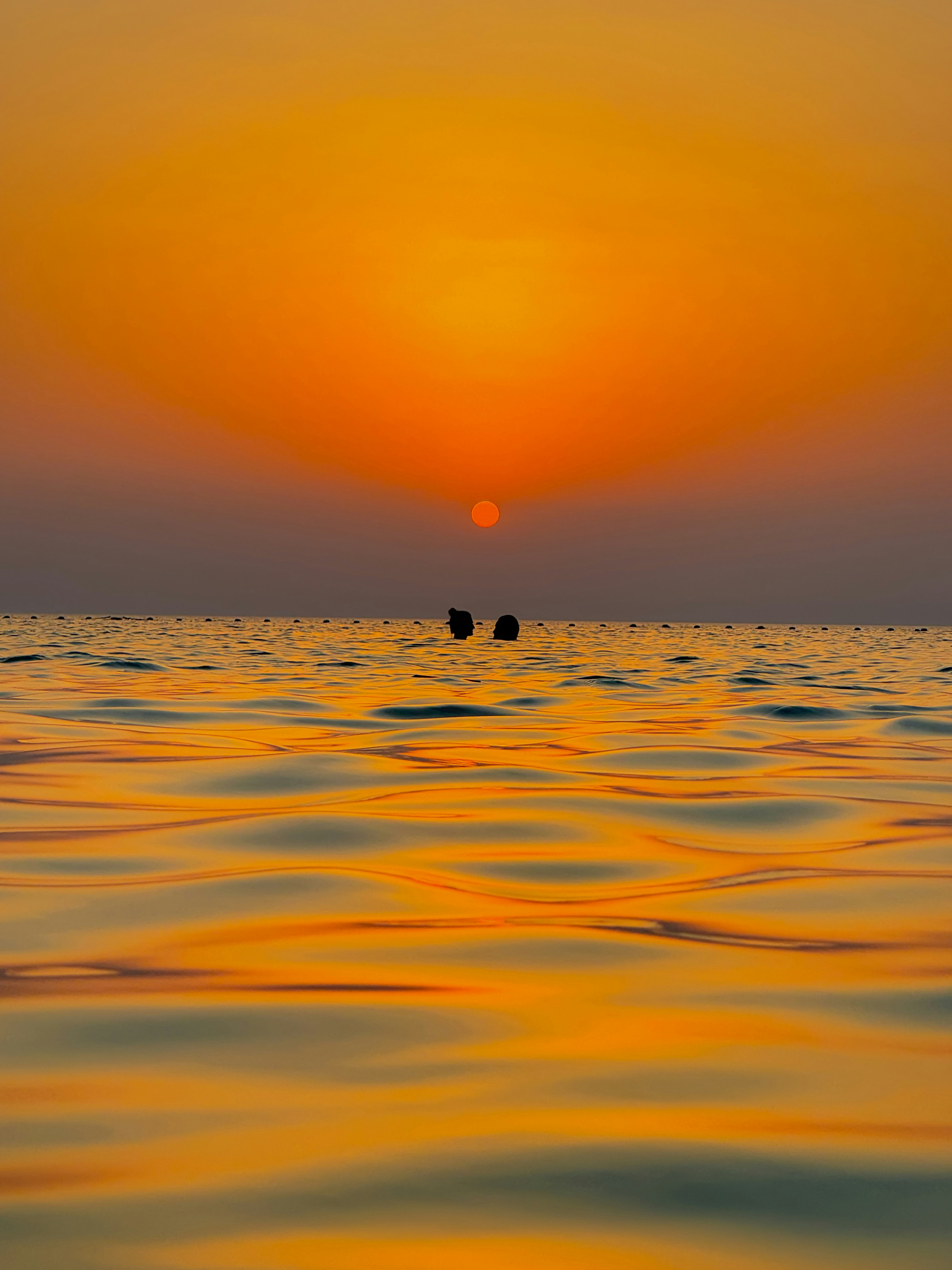 Photo by jinzvarghese