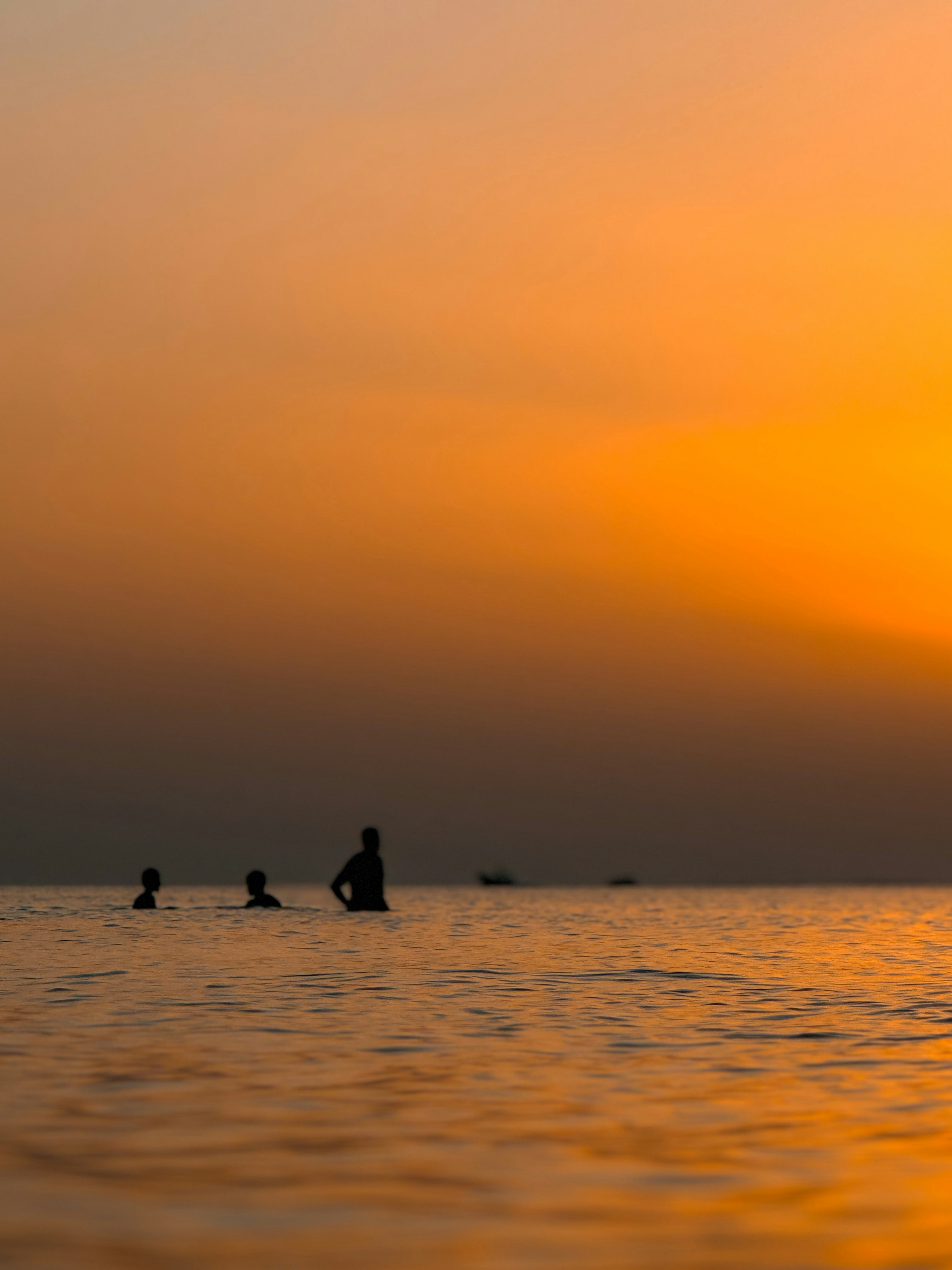 Photo by jinzvarghese