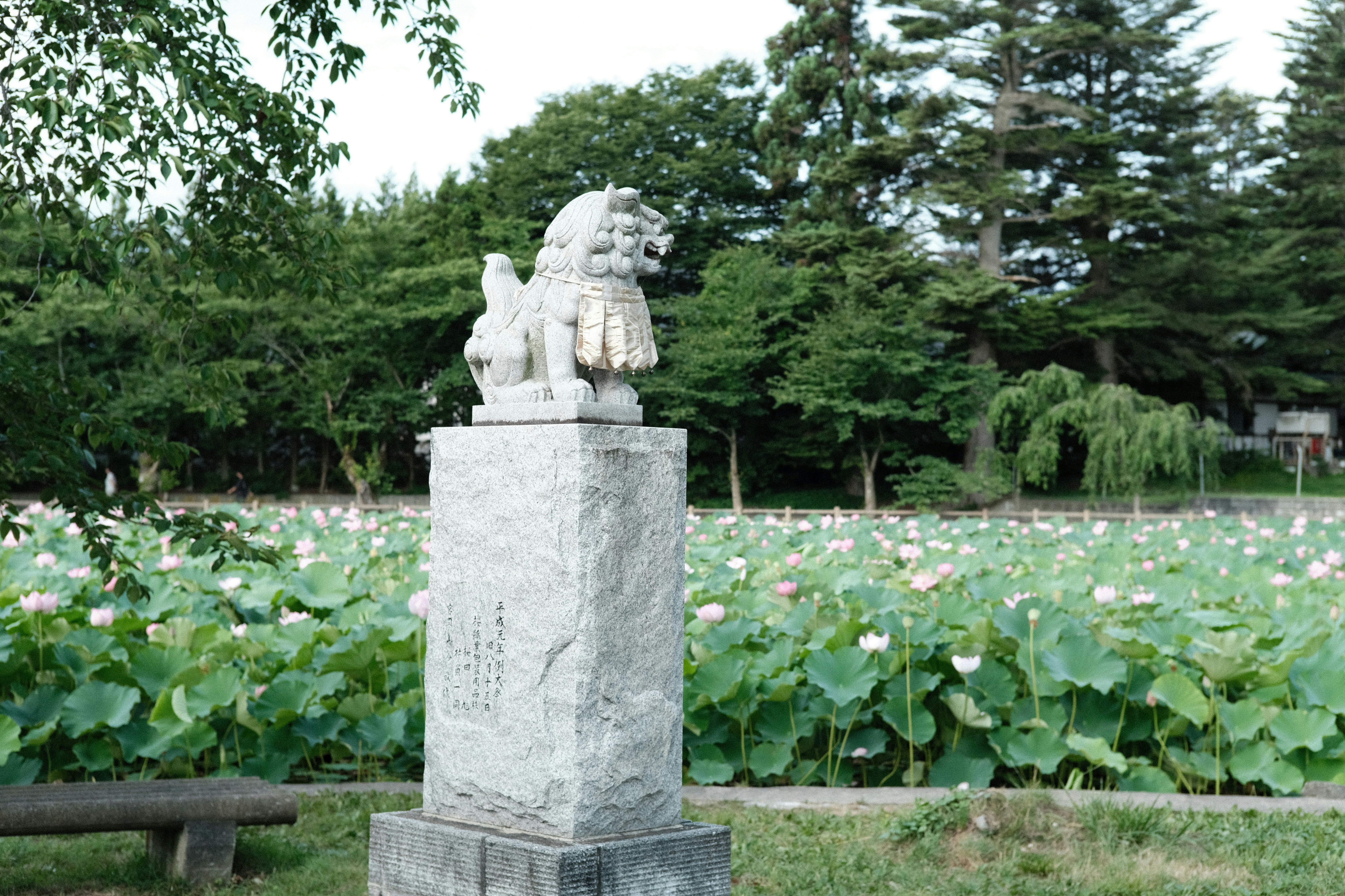 Photo by seiya_maeda