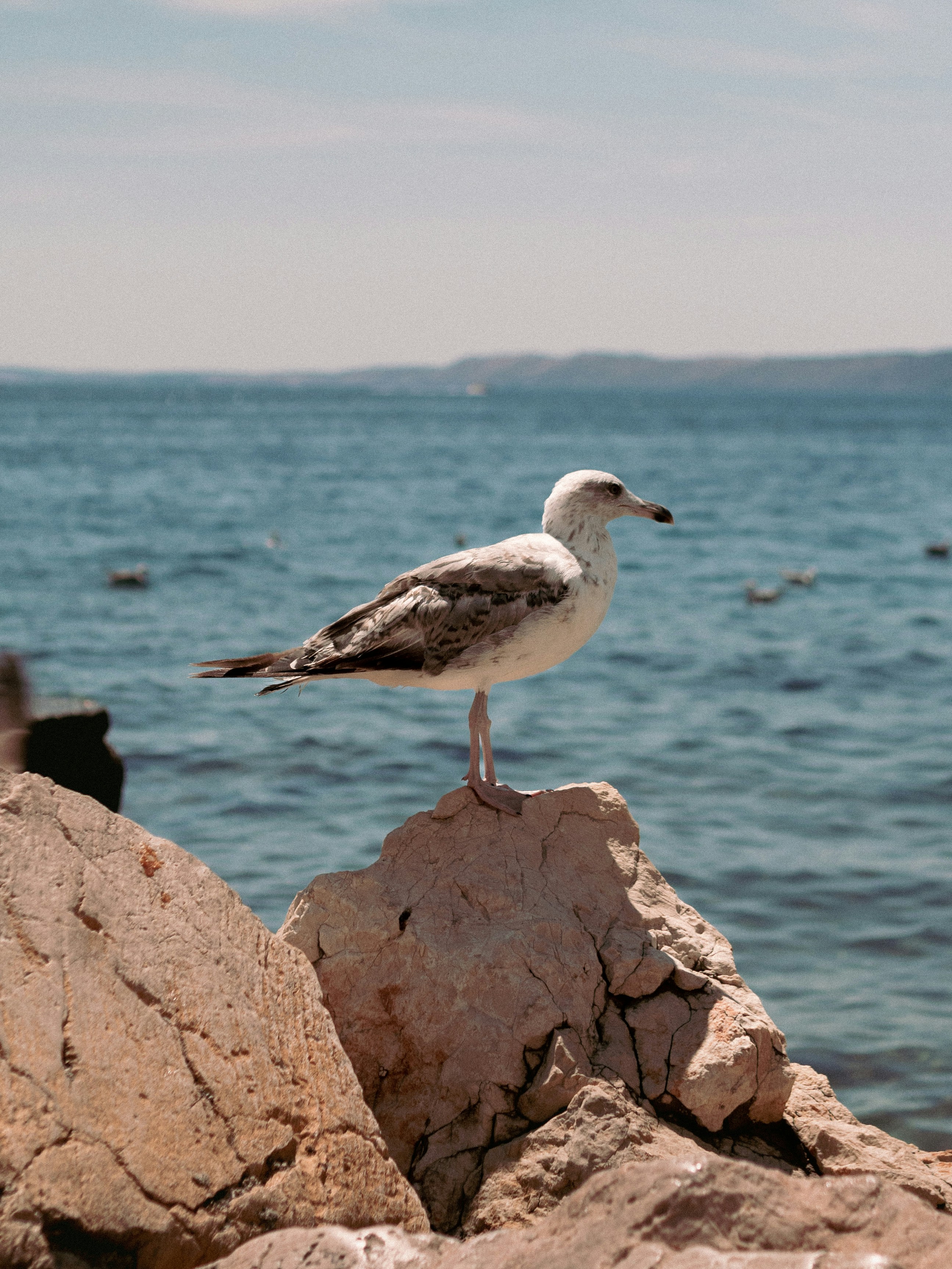 Photo by csanadbechtold