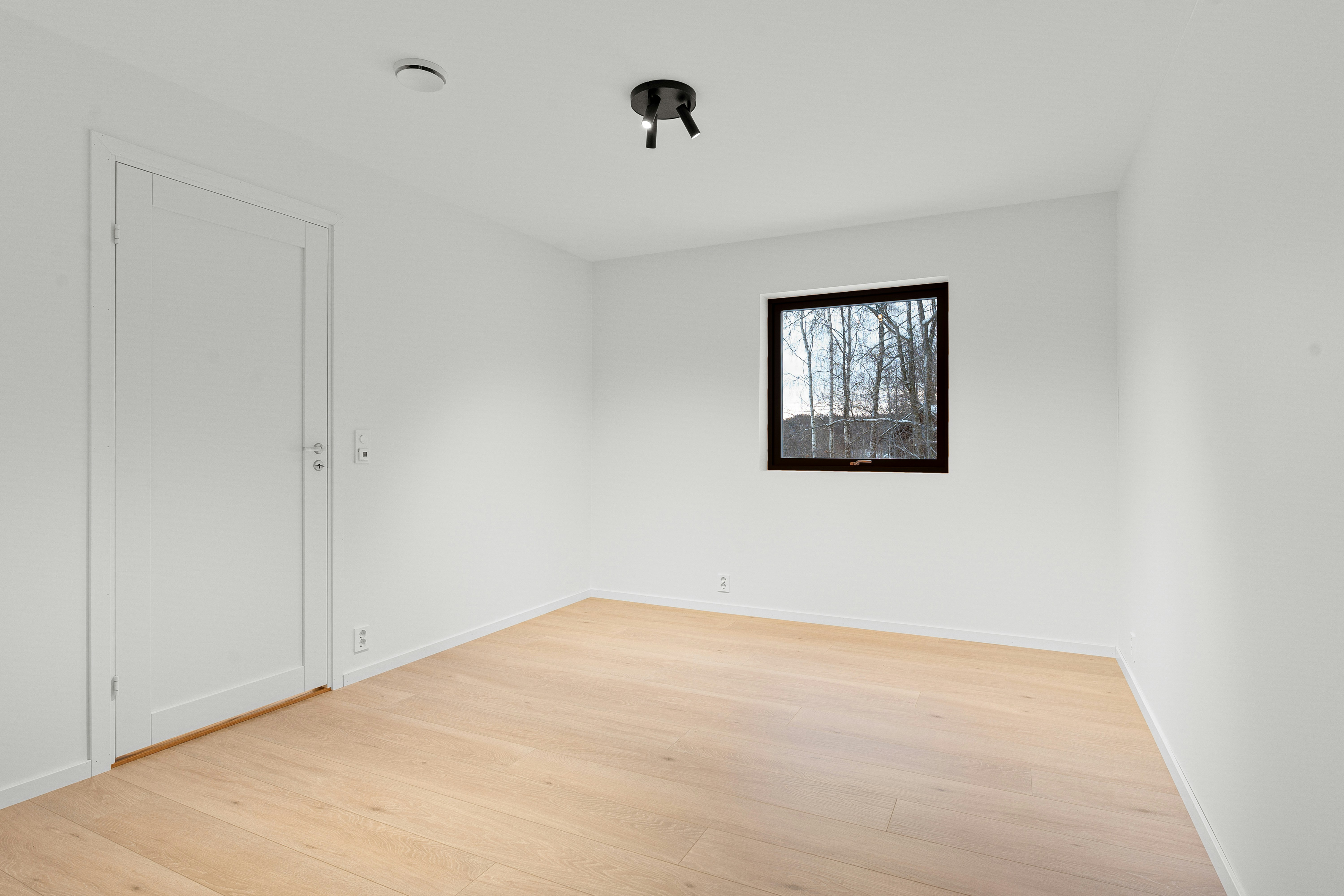 Photo by alextyson195