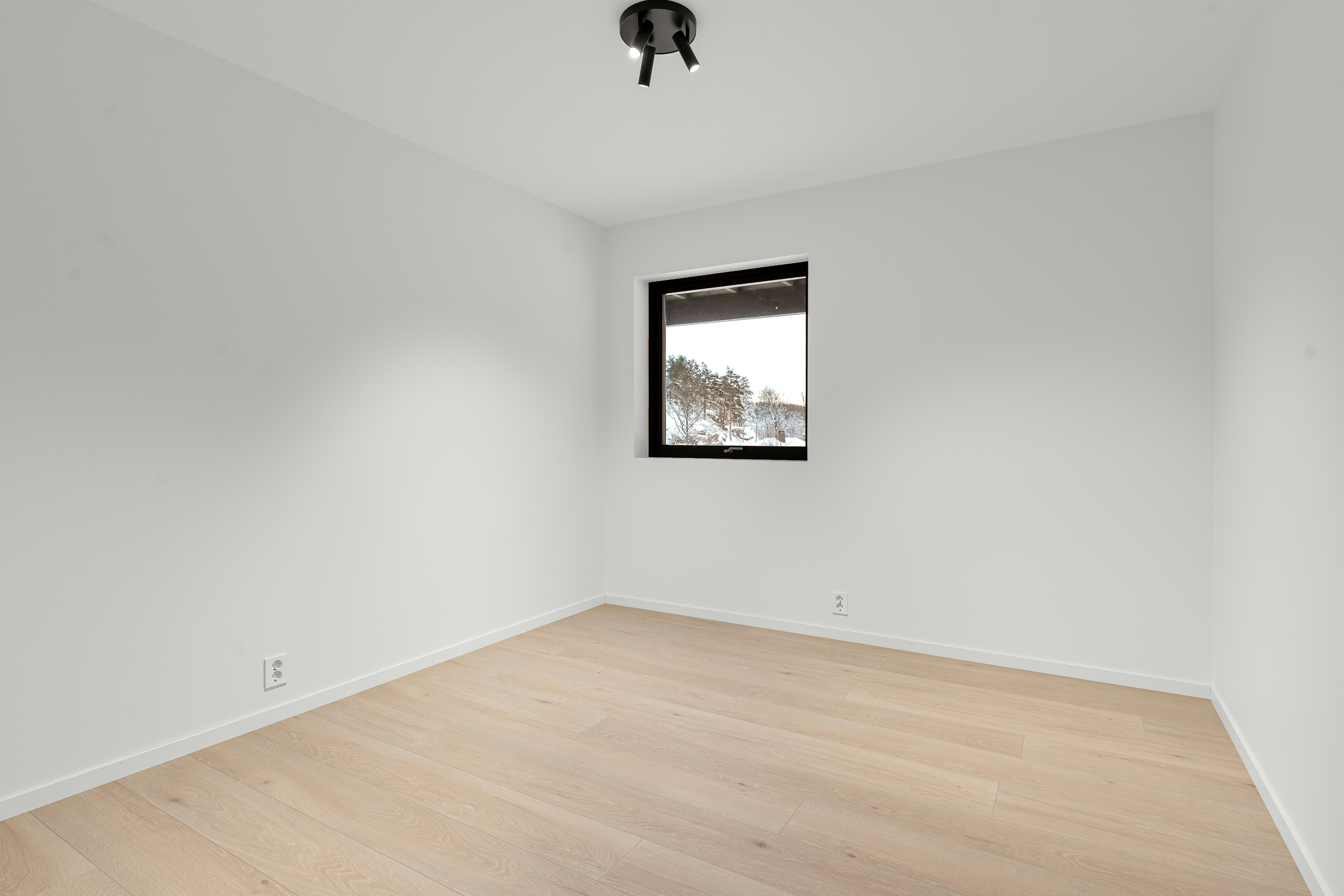 Photo by alextyson195