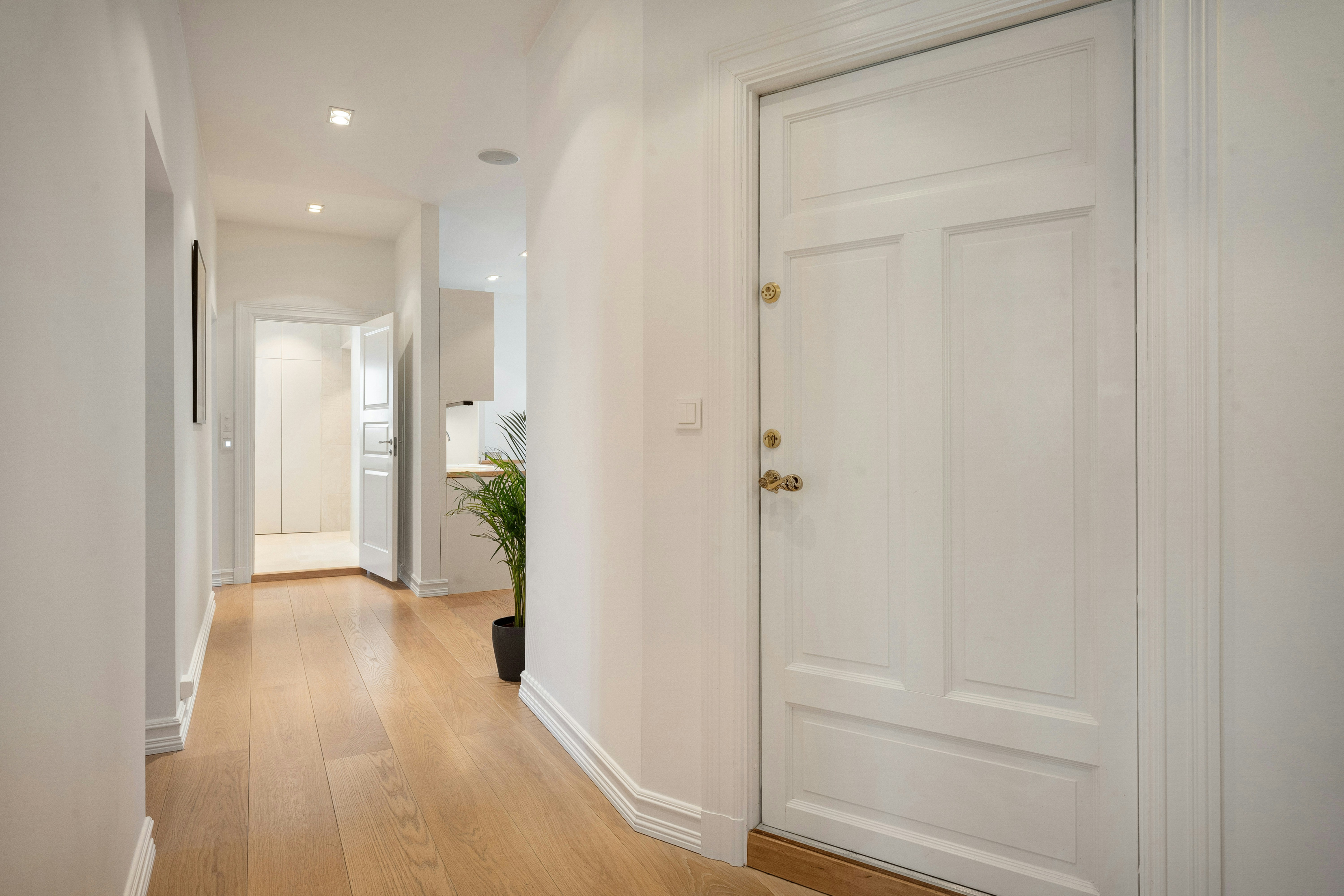 Photo by alextyson195