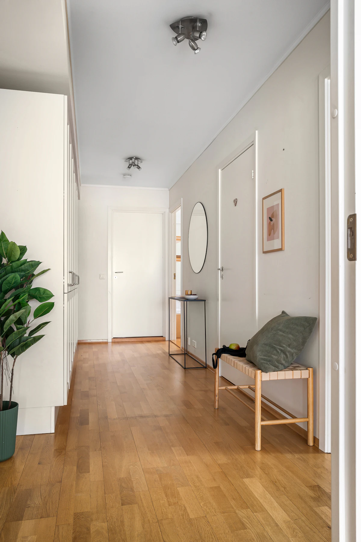 Wide-plank wood flooring in a commercial hallway with natural light