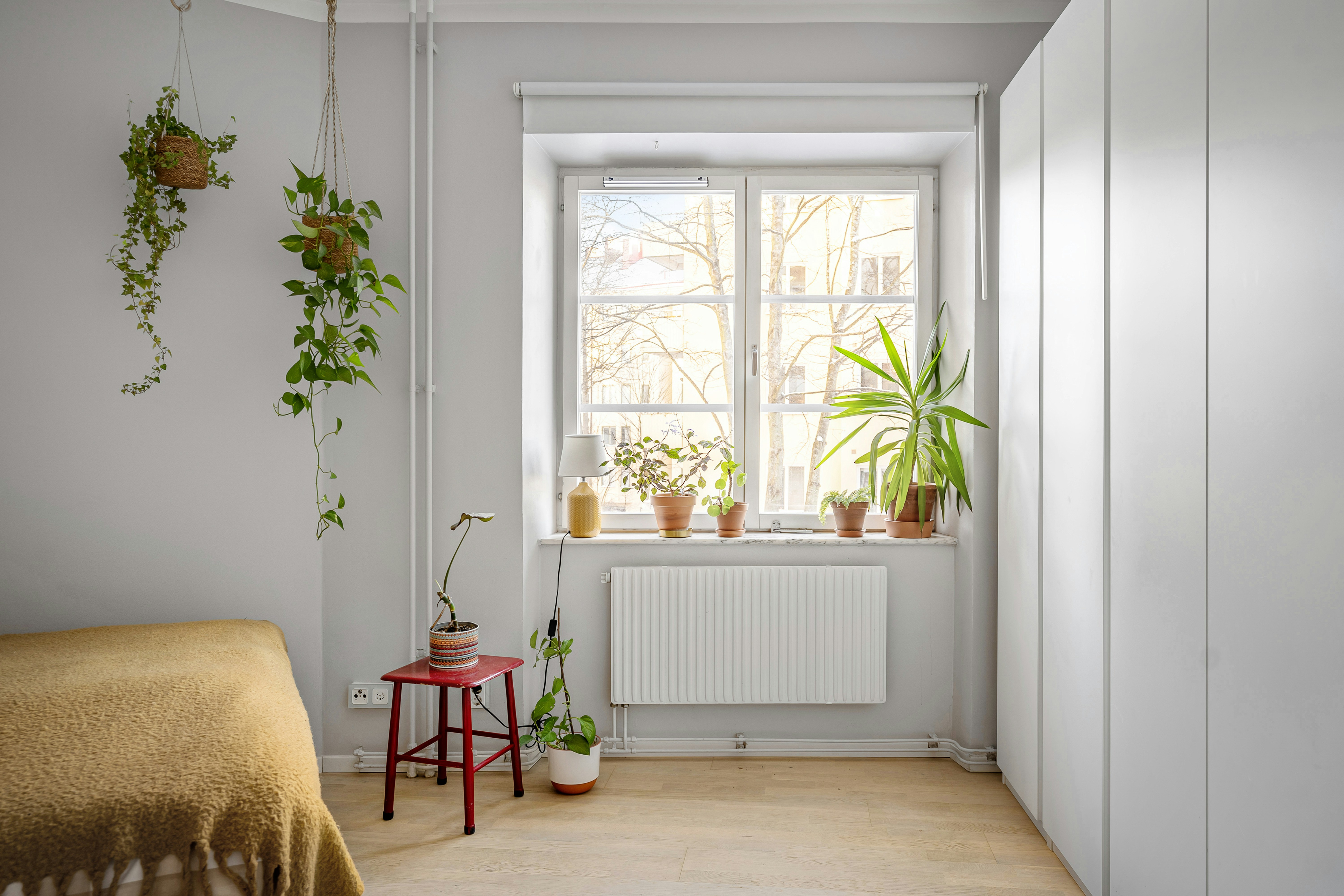 Photo by lisaanna195