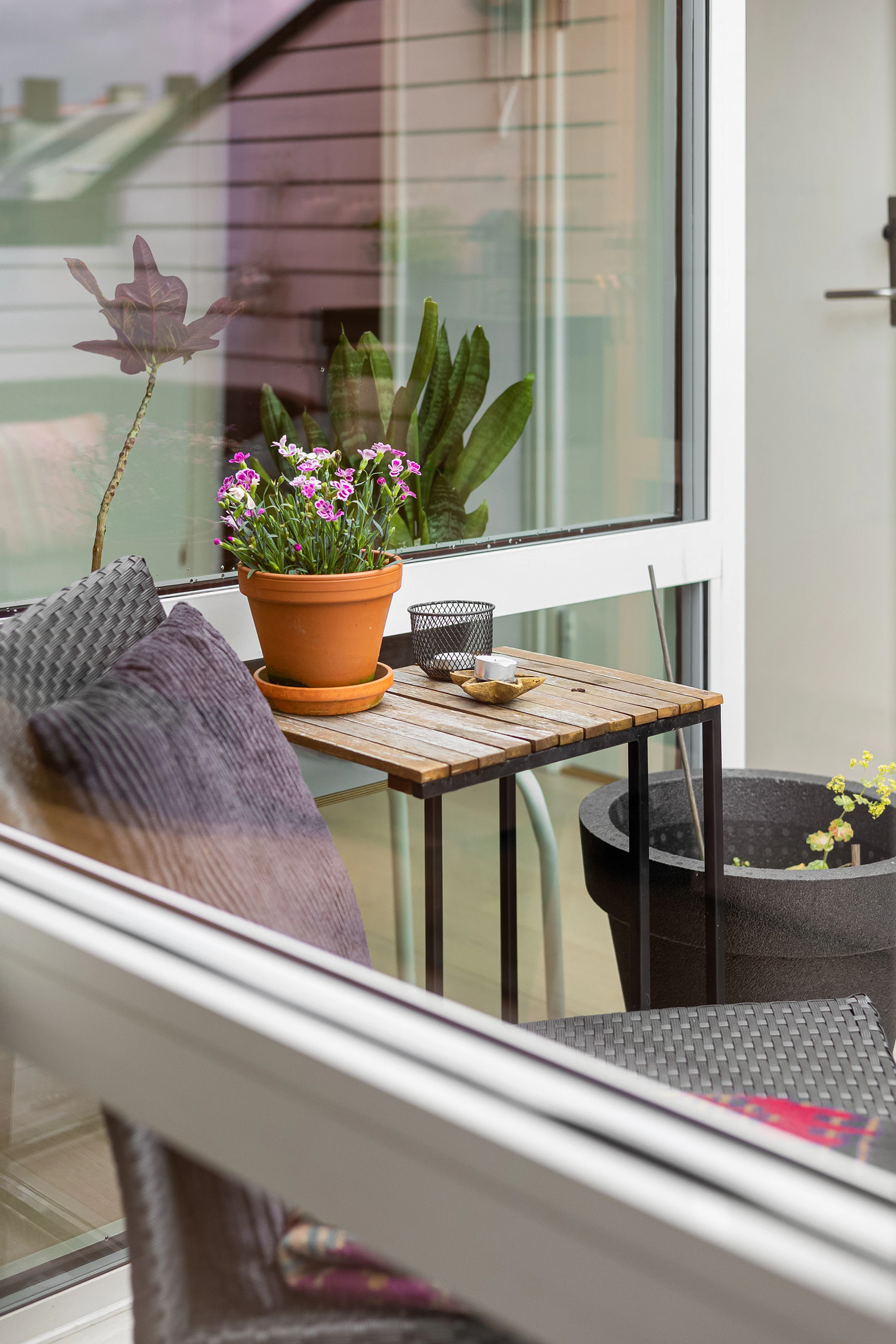 Modern outdoor living space